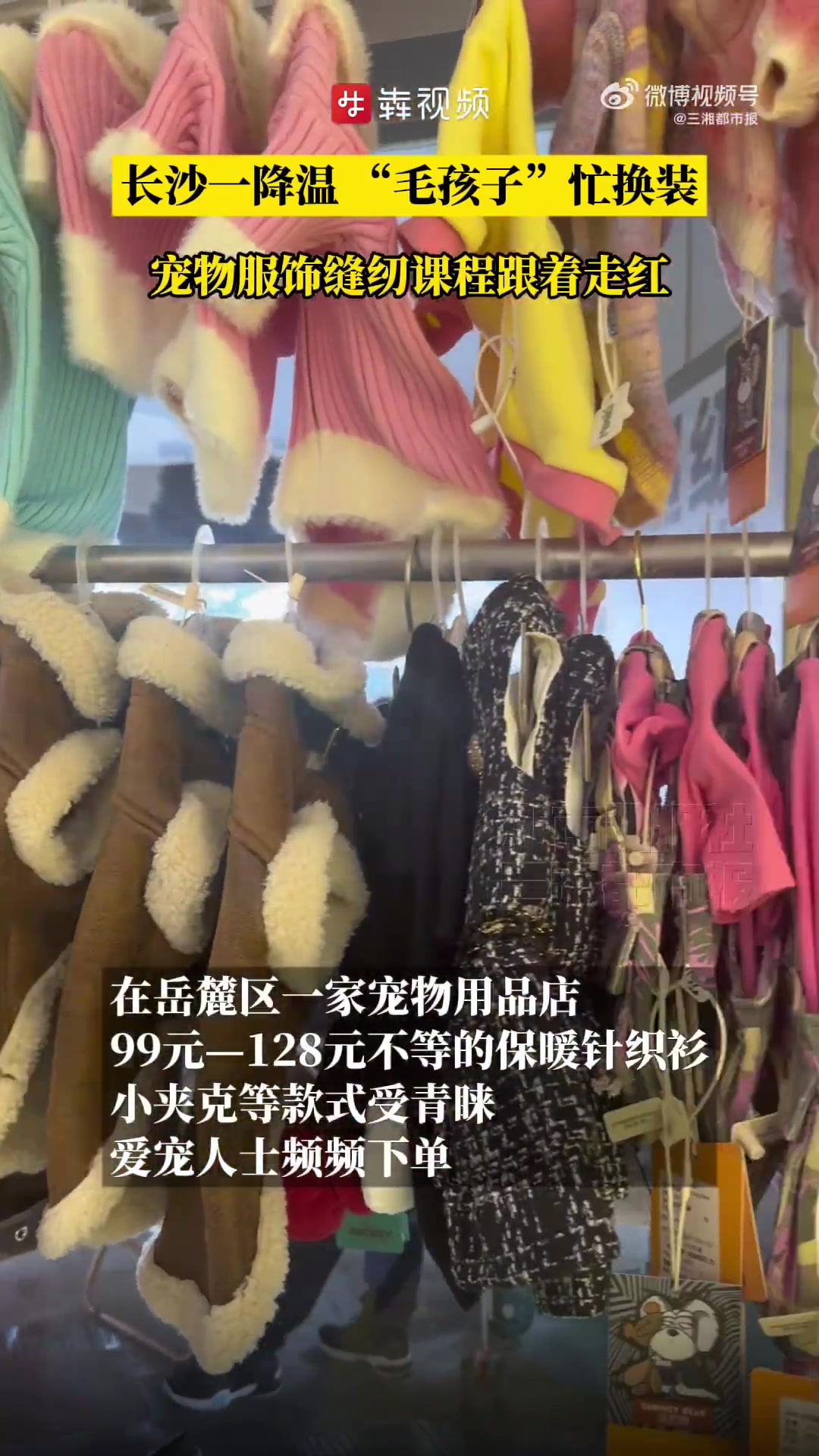 「长沙降温后毛孩子忙换装宠物服饰缝纫课程走红」根据天气预报,寒潮即将来到湖南,宠物们也迎来