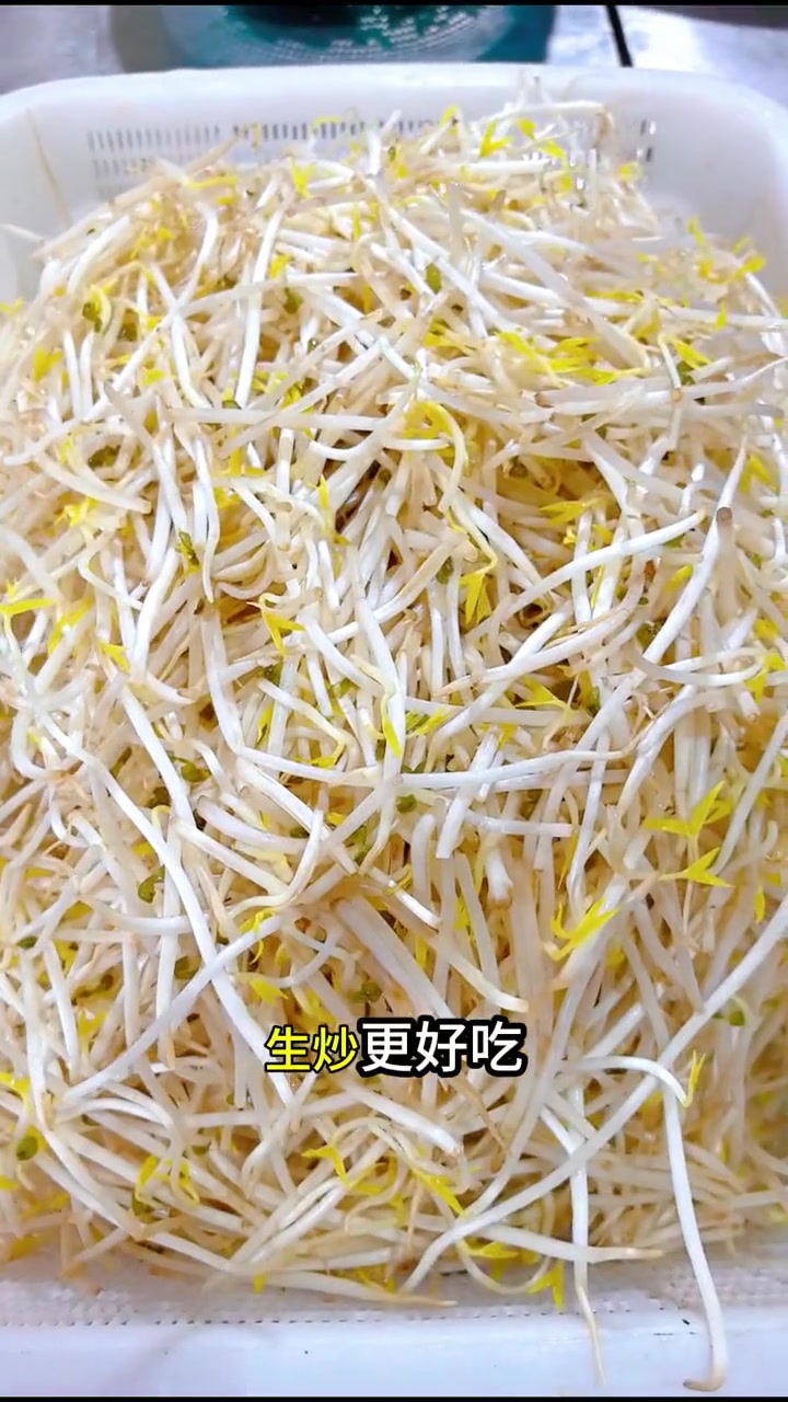 清淡爽口的《豆芽炒海带丝》，完美结合