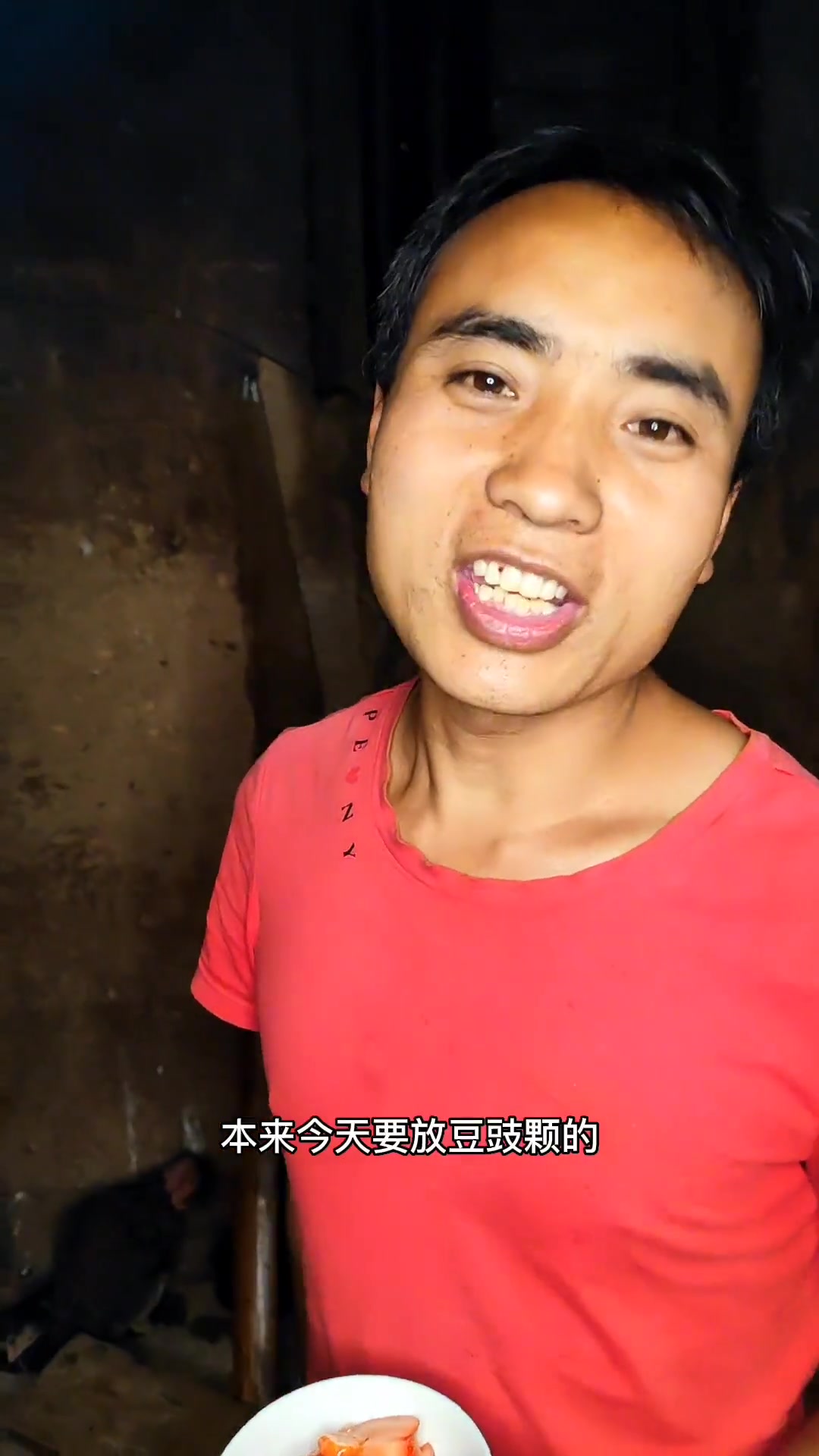 今天再做一次活菜你看，看懂的说声，看不懂的下次再继续