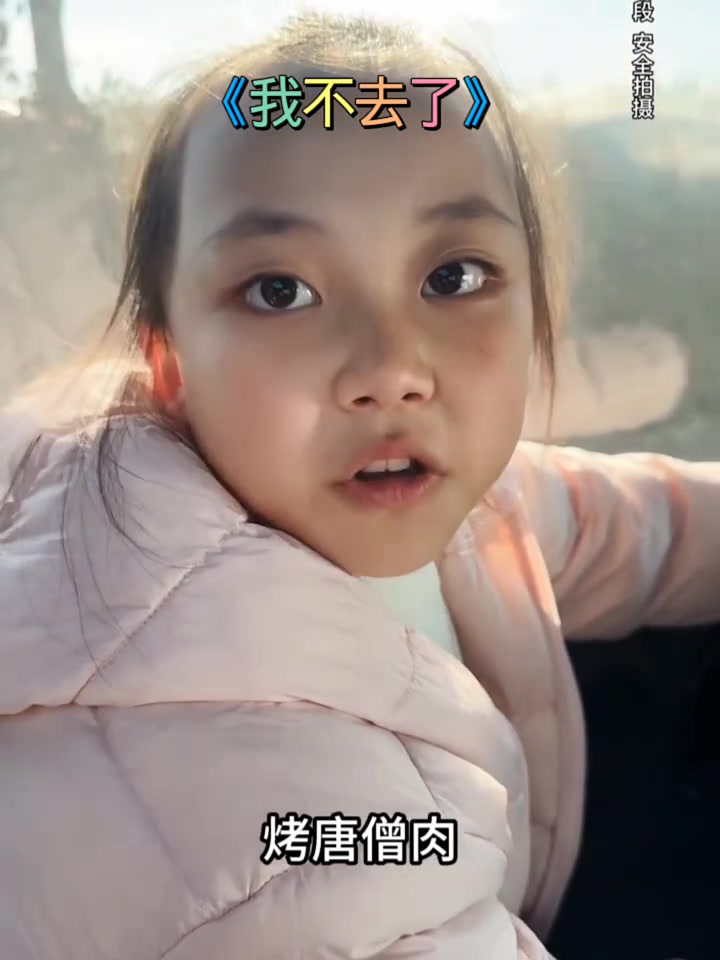 喜爱度激励计划