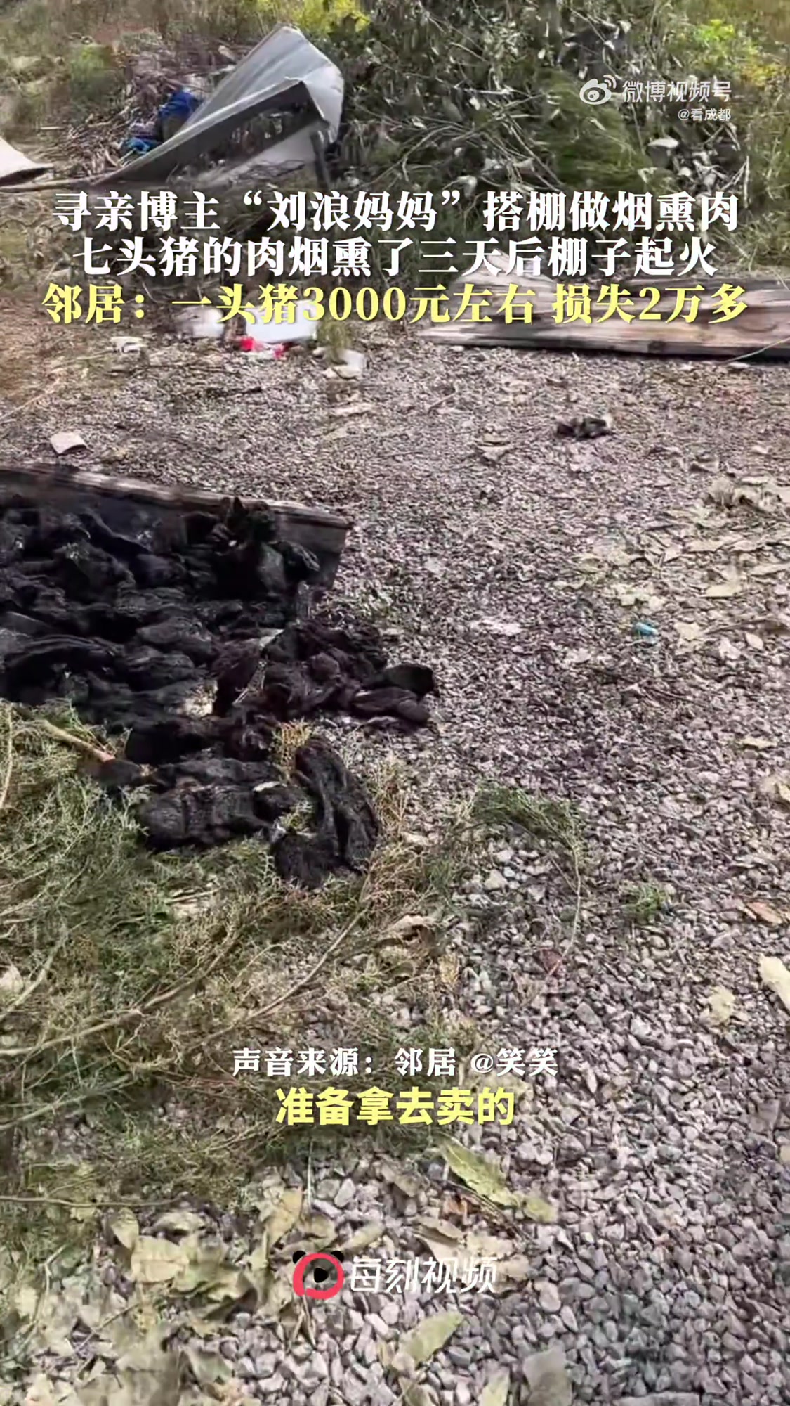 11月16日，贵州毕节。寻亲博主“刘浪妈妈”在搭棚熏制腊肉时发生险情。在连续烟熏三天后，用