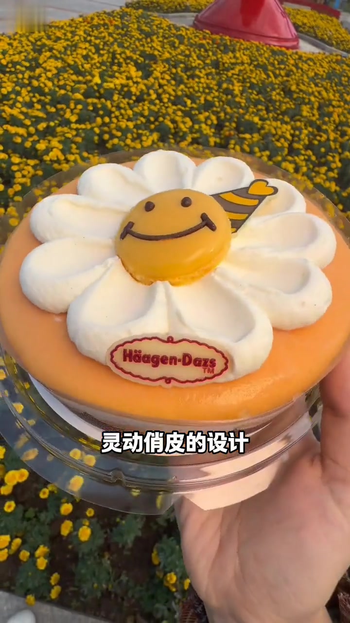 甜心送淋面蛋糕，哈根达斯的蛋糕真的好精致啊！