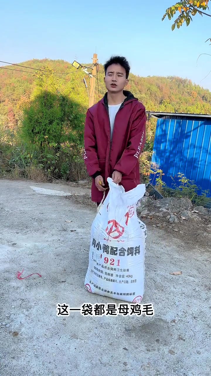 七彩山鸡毛 统毛 珍珠鸡毛 能量转换 诚信经营