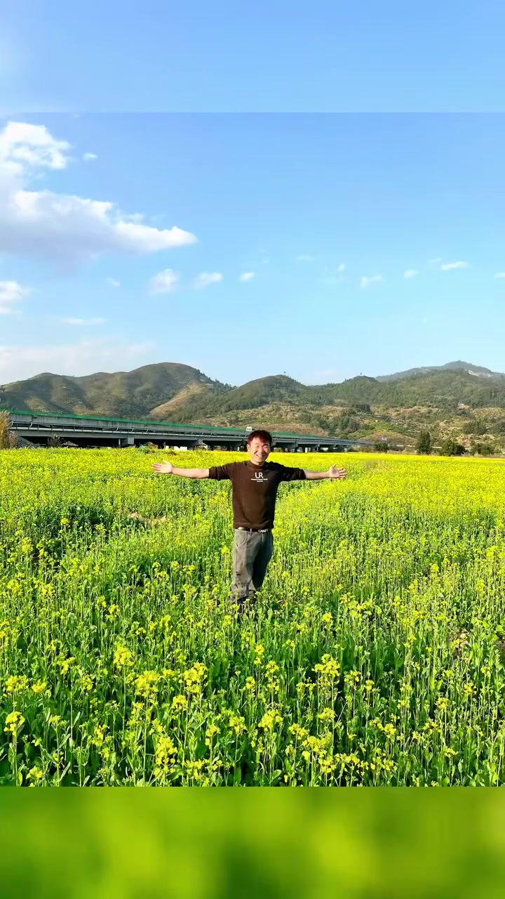 看到了吗？家乡油菜花又开了