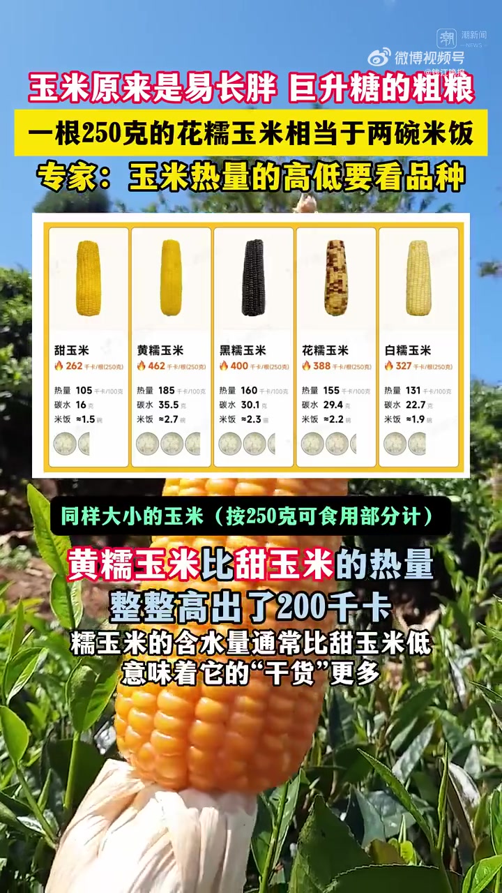 都说吃玉米能减肥,蒋女士(化名)便在早、中、晚只“炫”玉米,不吃米饭,直到她遇上了浙一医院