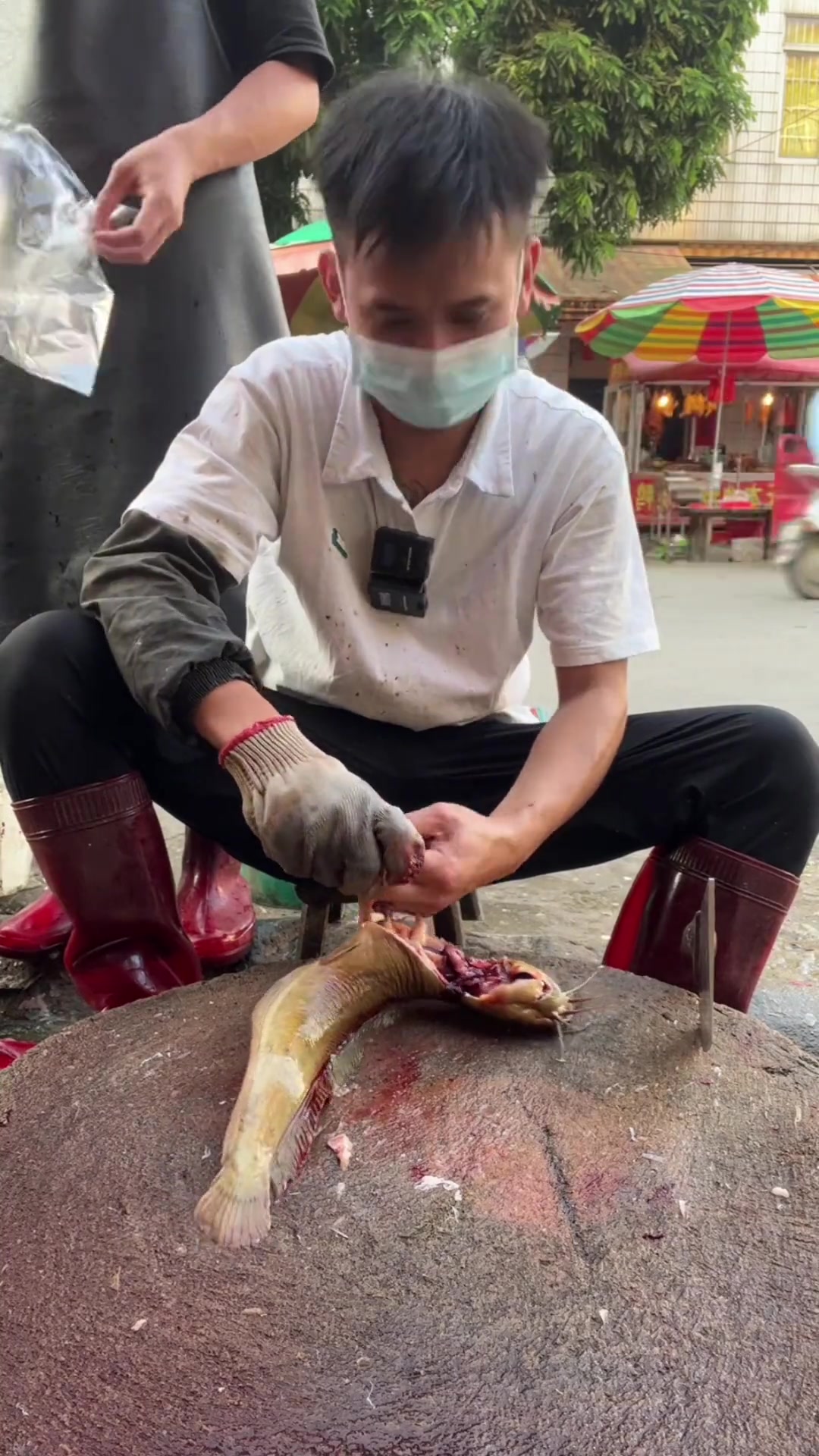 抓条塘角鱼做晚餐，肉质鲜嫩，你们吃过吗？