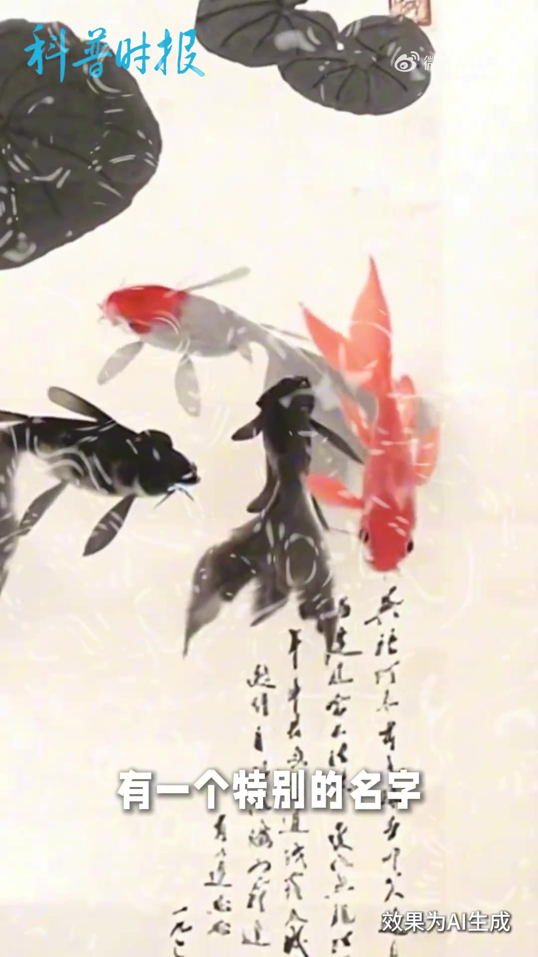 「藏品背后的科学家故事——童第周」这副《睡莲金鱼图》中，长着金鱼身、鲫鱼尾的红色小鱼，就是