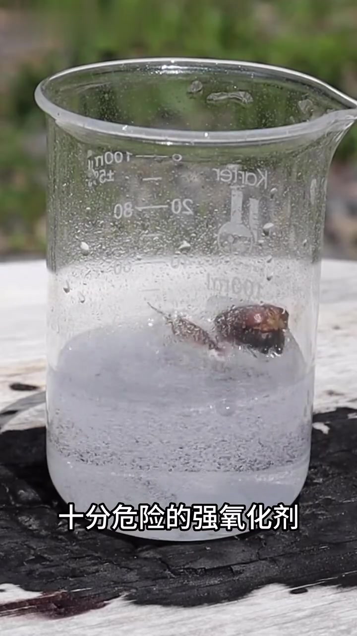 可怕的食人鱼溶液能溶解钻石吗？