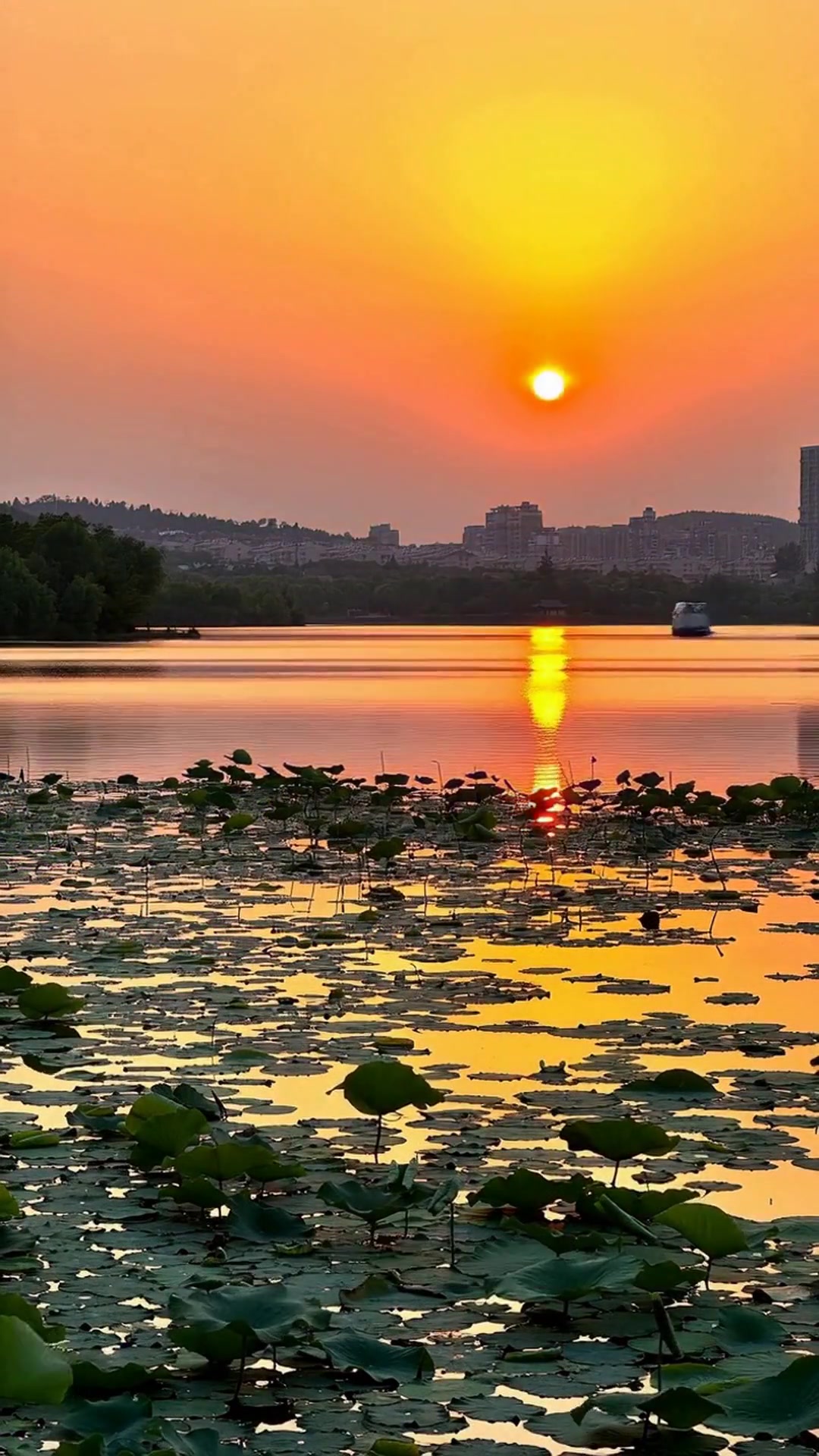 徐州1日游必看！云龙山+云龙湖懒人玩法，烧烤夜市全攻略