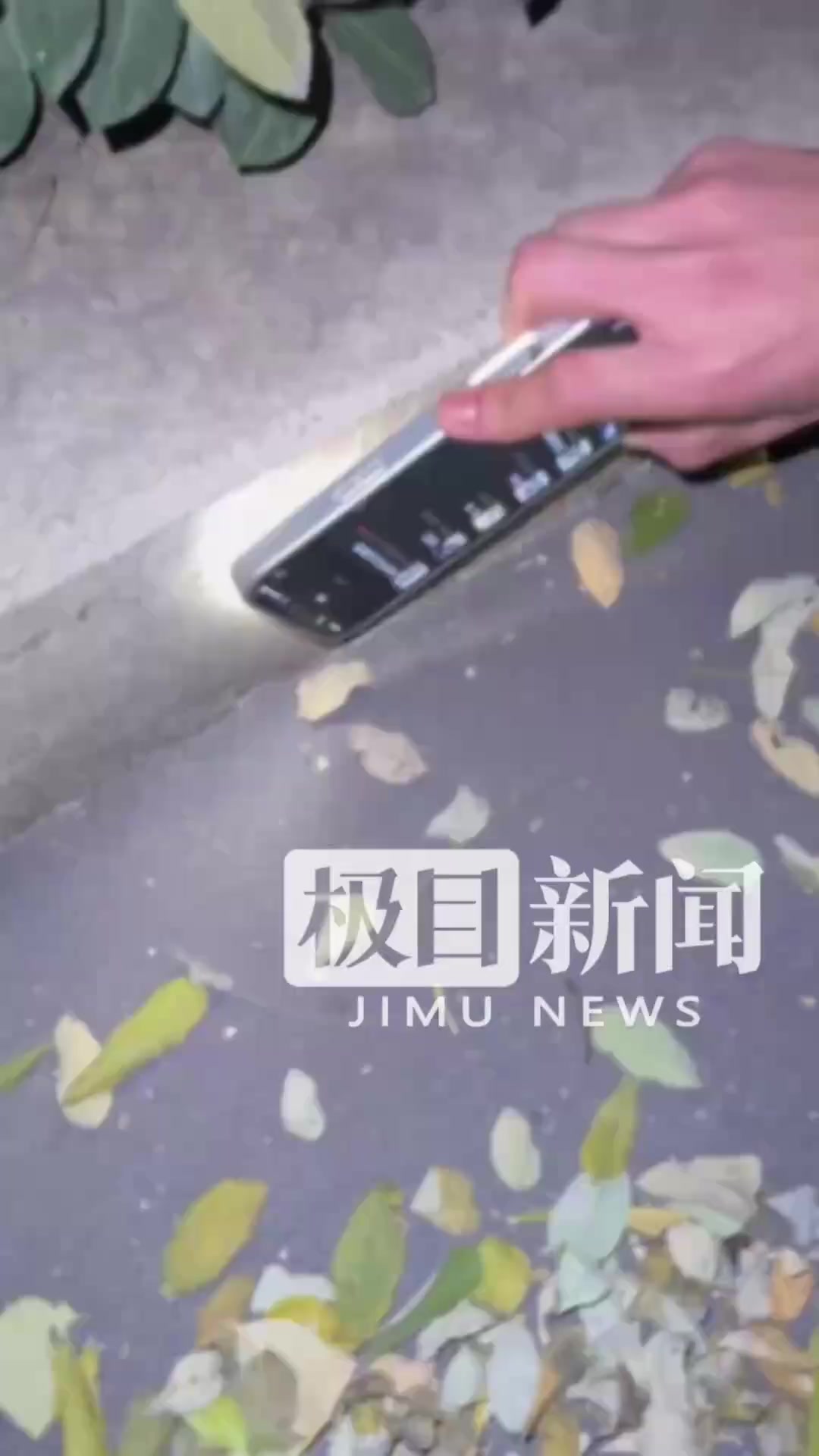 「高校绿化带石阶散发不明绿光,校方:或含某种金属成分,正在了解」石阶散发不明绿光网友担心有