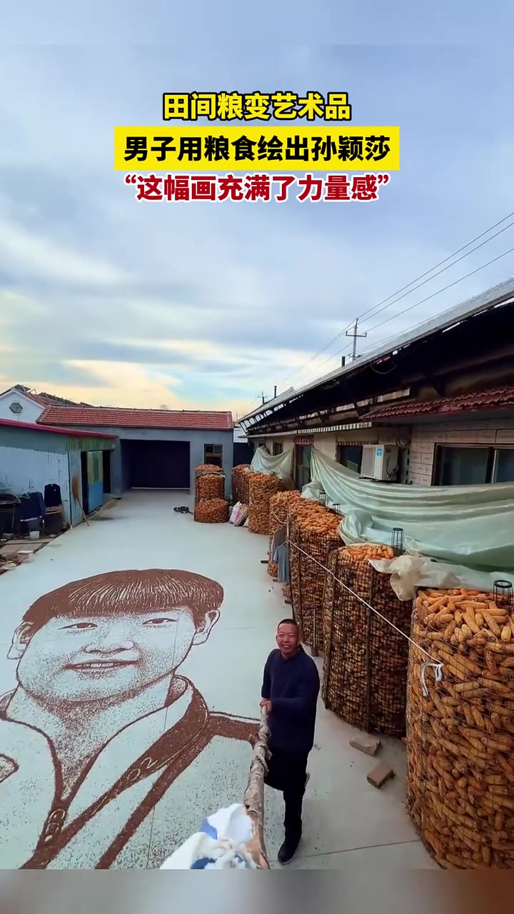 田间粮变艺术品，男子用粮食绘出孙颖莎，“这幅画充满了力量感”