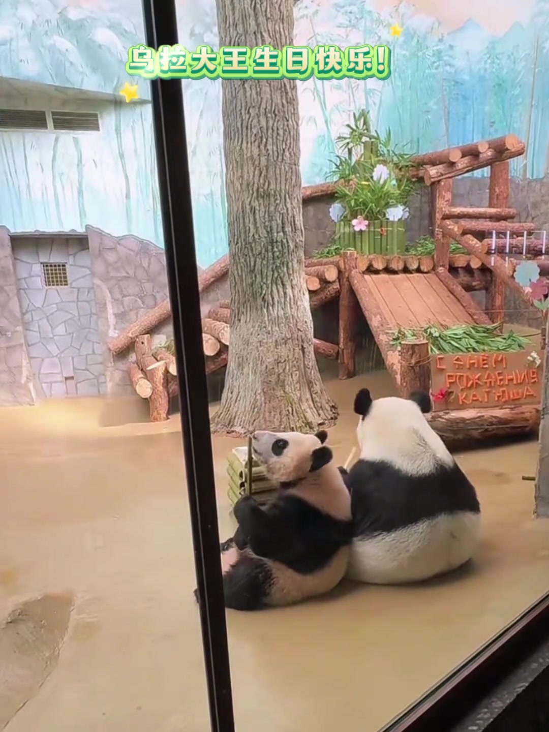 乌拉大王和妈妈丁丁一起享用生日蛋糕