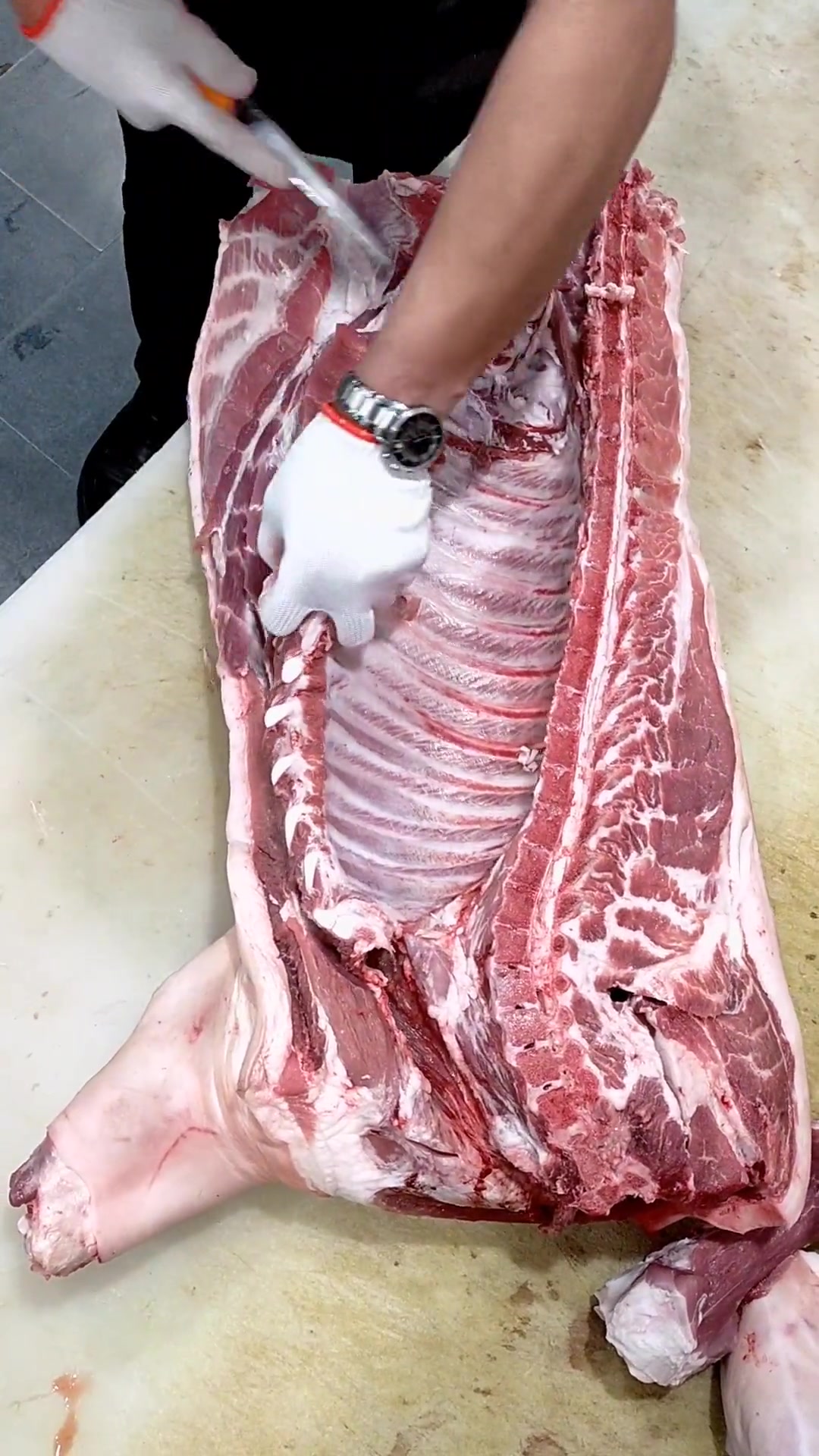 本期视频：说说猪肉的各个部位，谢谢大家