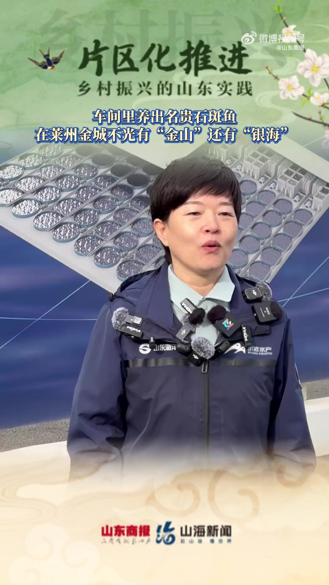 近日,山东烟台。11月下旬的莱州湾气温已经逼近0度,但在金城镇的养殖车间里东星斑、红九棘鲈