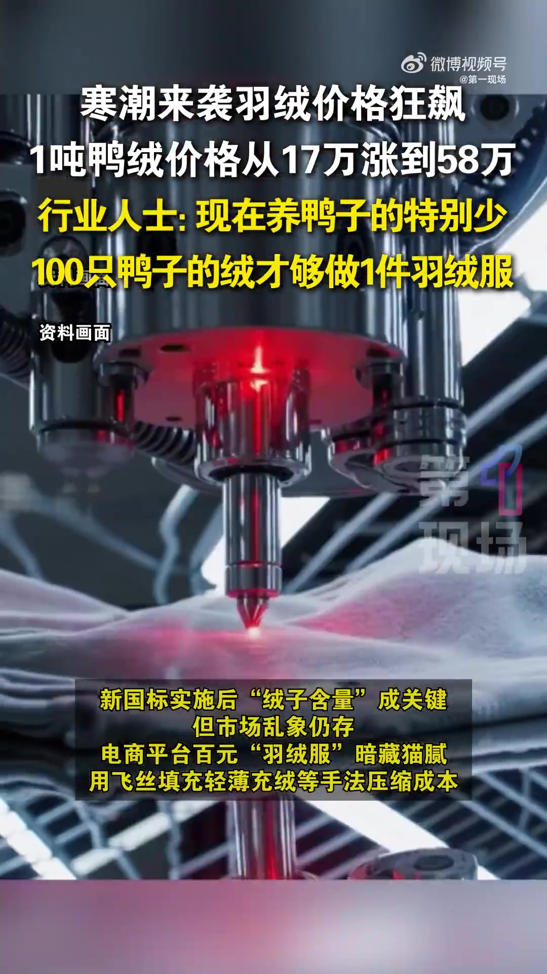 「一件成人短款羽绒服需消耗100只鸭的绒量!1吨鸭绒从17万涨到58万」深圳一键开启速冻模