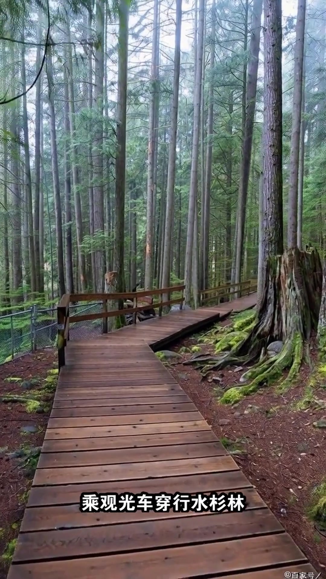 信阳3日游必玩!温泉+茶山+美食,本地人私藏攻略