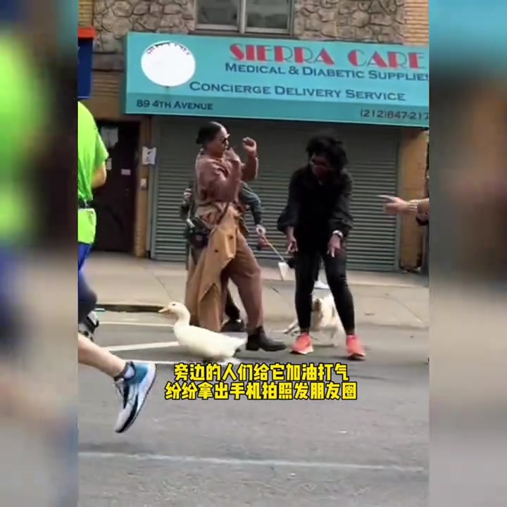 喜欢跑步的小鸭子参加马拉松比赛，没想到竟然还拿了一块奖牌！