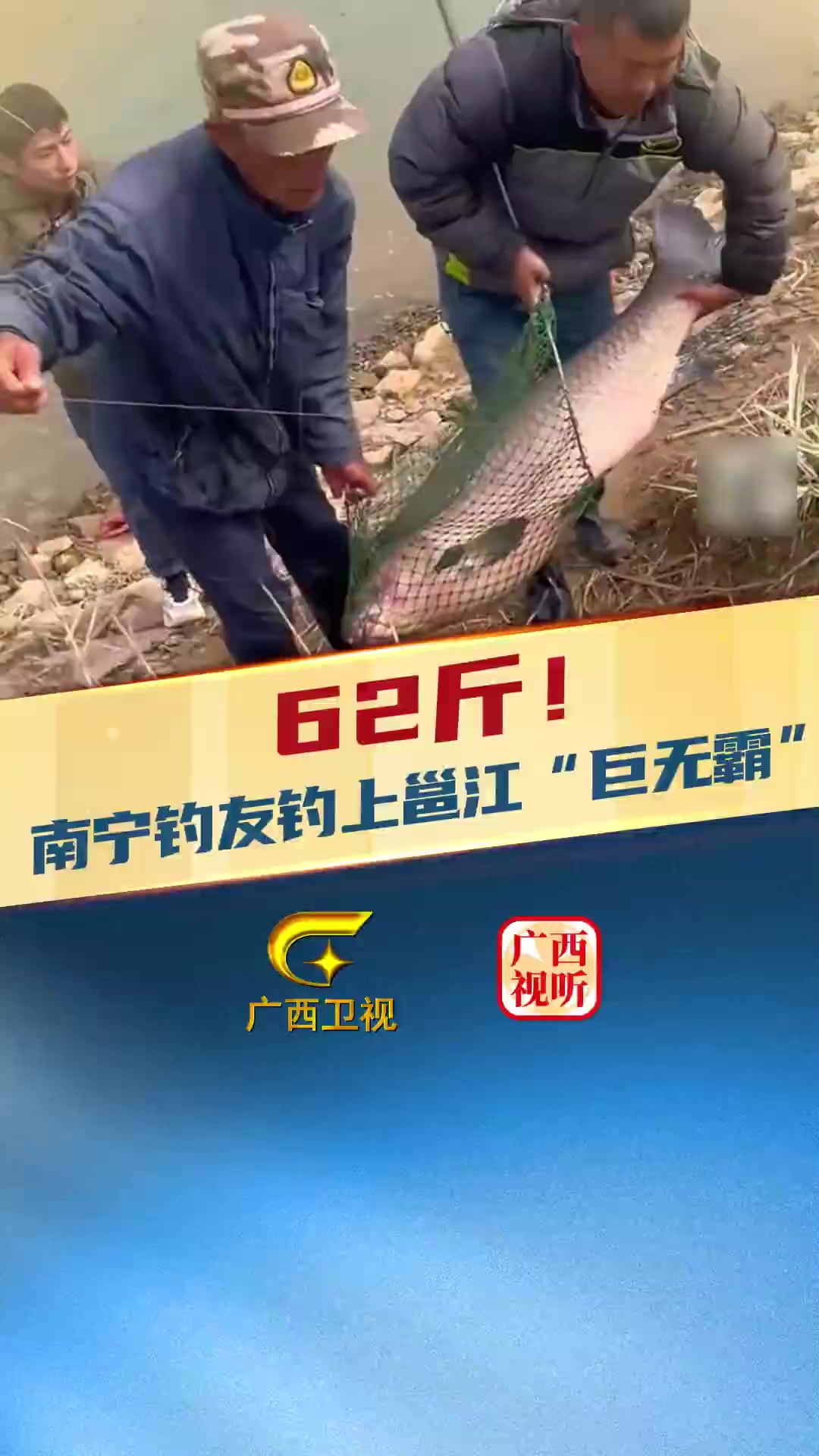 男子在邕江边钓到一条62斤大青鱼,“非常激动,第一次钓到那么大的鱼”南宁钓鱼广西邕江(来源