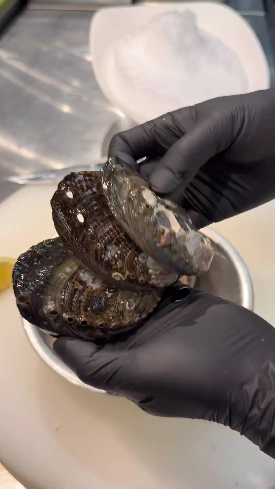 海鲜姿造之火锅鲍鱼摆盘详细教学视频