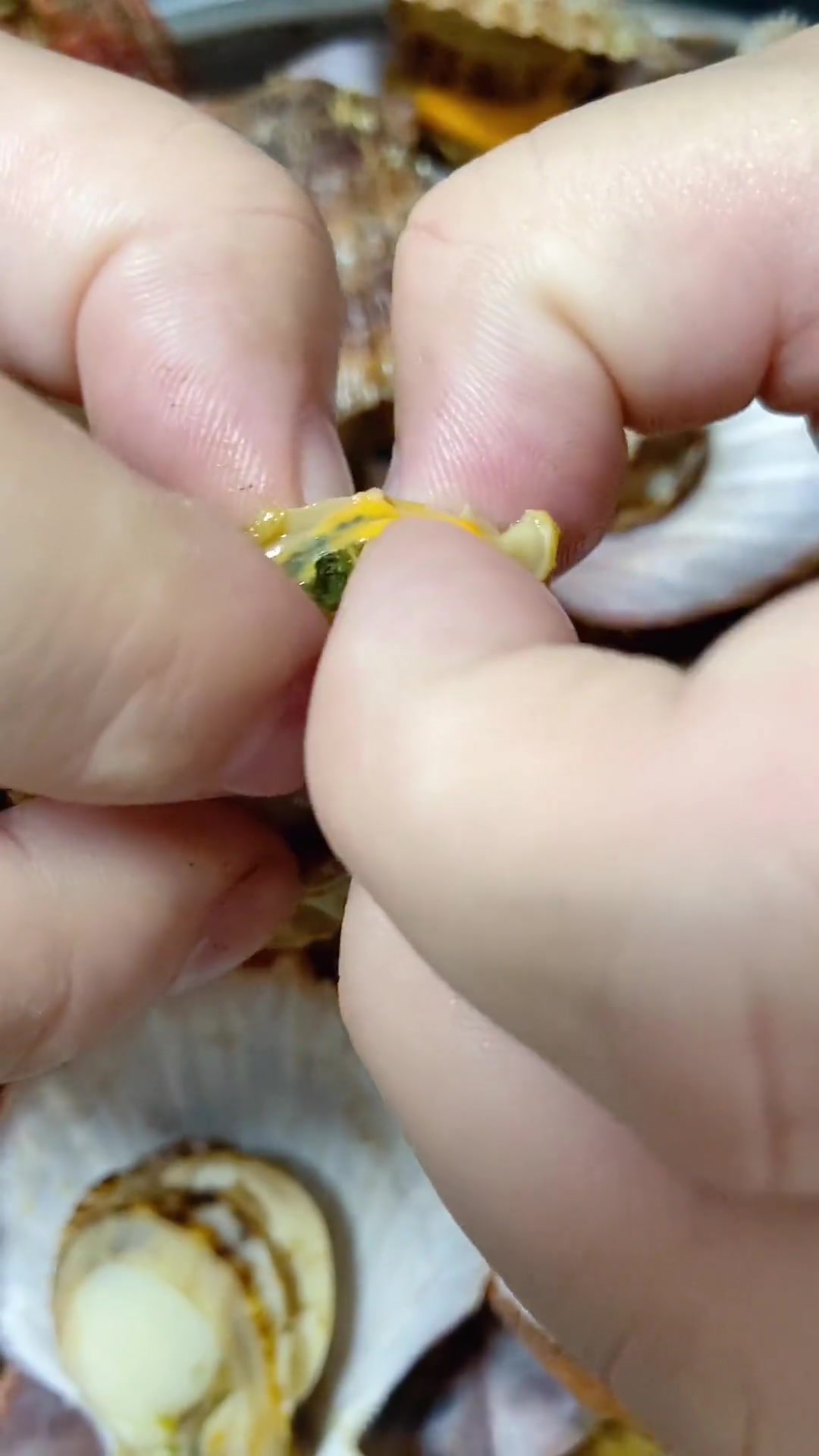 扇贝哪里不能吃？