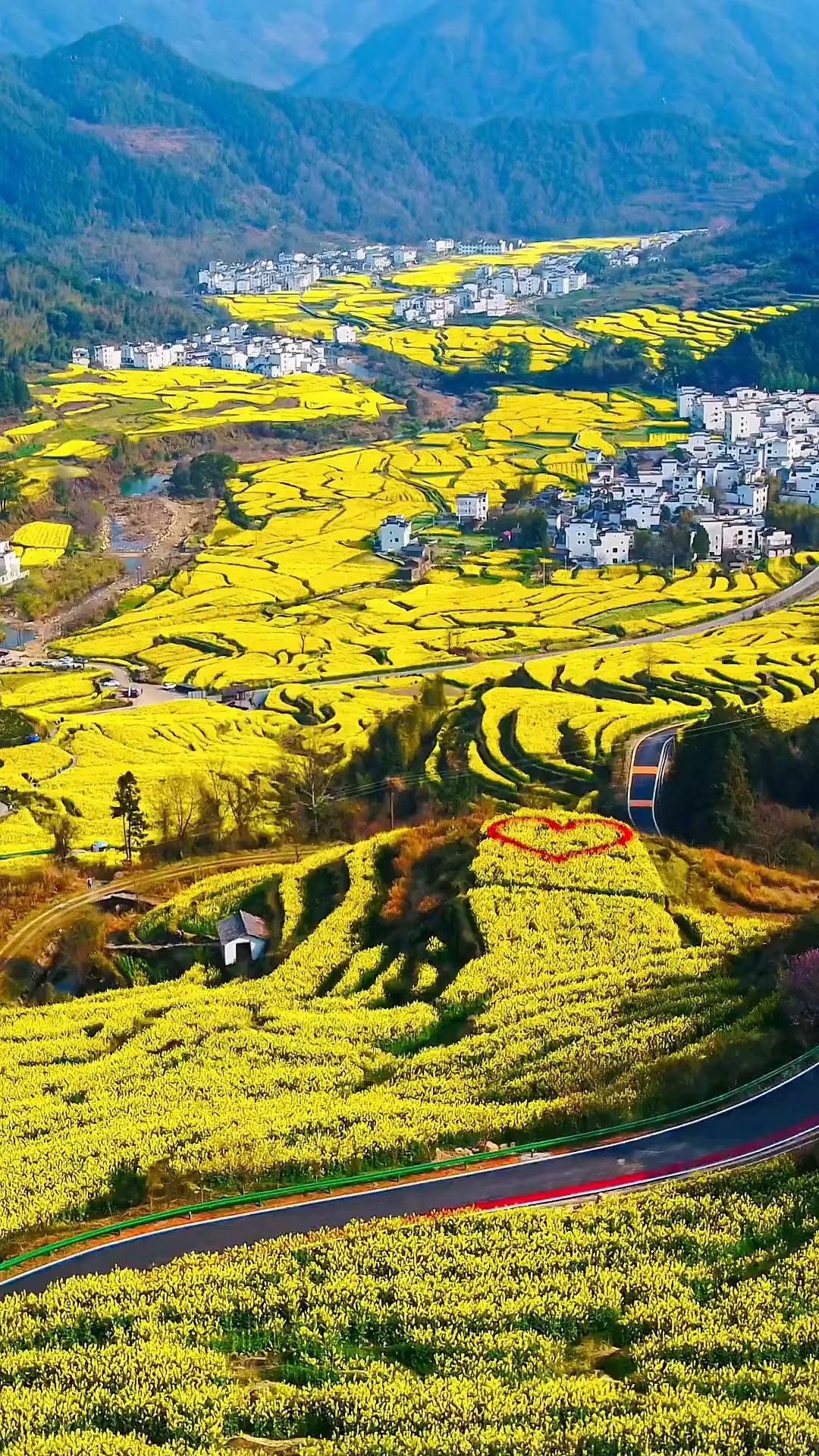 去婺源赏油菜花，江岭景区和篁岭景区哪个更值得看？