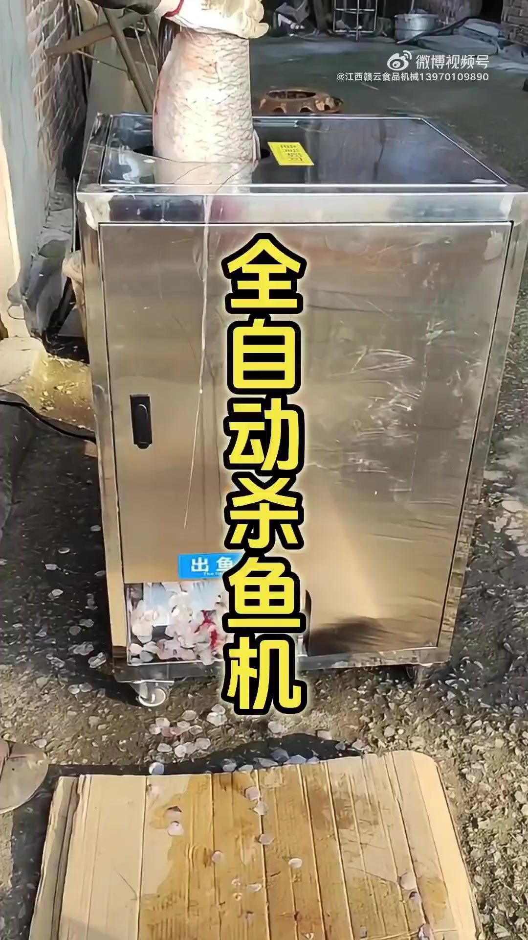 商用杀鱼去鳞开背开肚一体机！推荐一款适用于商超｜市场｜水产门店杀各种淡水鱼海鱼的全自动杀鱼