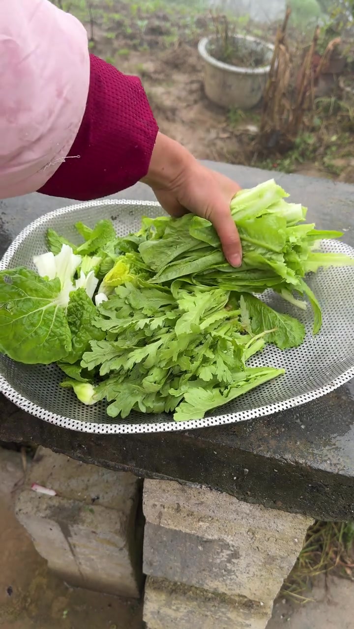 今天摘一点蔬菜做一个蔬菜火锅吃