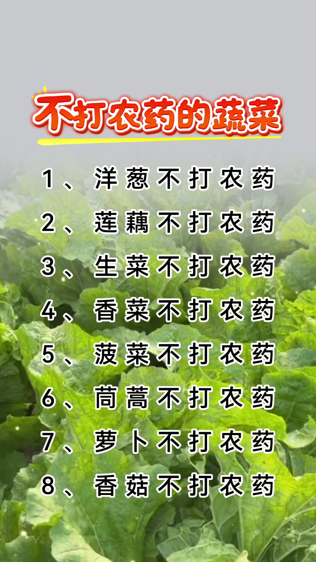 种植蔬菜,不打农药,您知道有哪些?