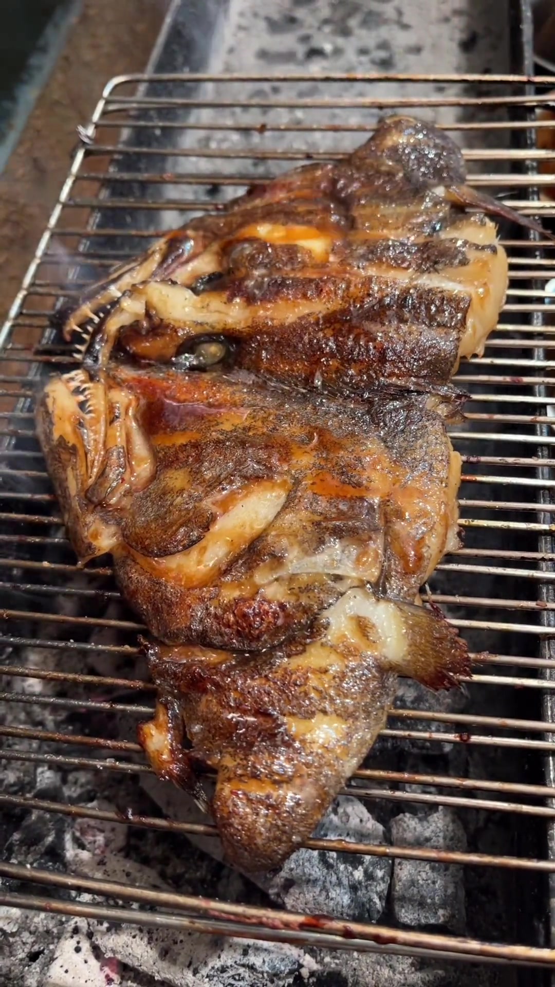 炭火烤制碟鱼头