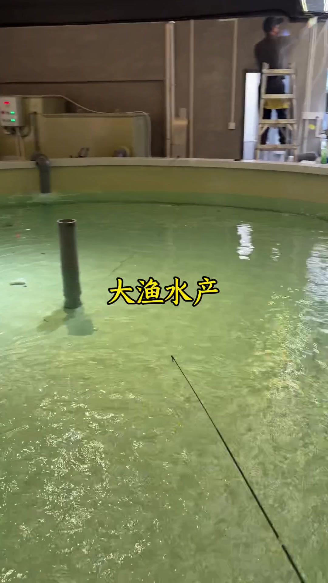 直径6米圆形钓虾池安装完工#水产养殖#养殖设备#专业生产厂家