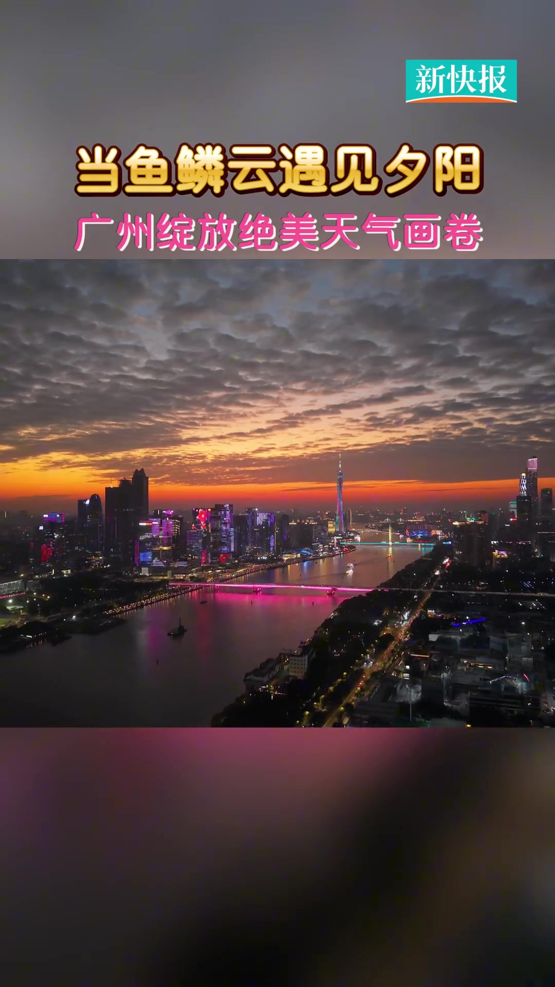 11月23日傍晚，广州上空美轮美奂。鱼鳞云如锦缎般铺展，与落日余晖相互交织。据悉，鱼鳞云的