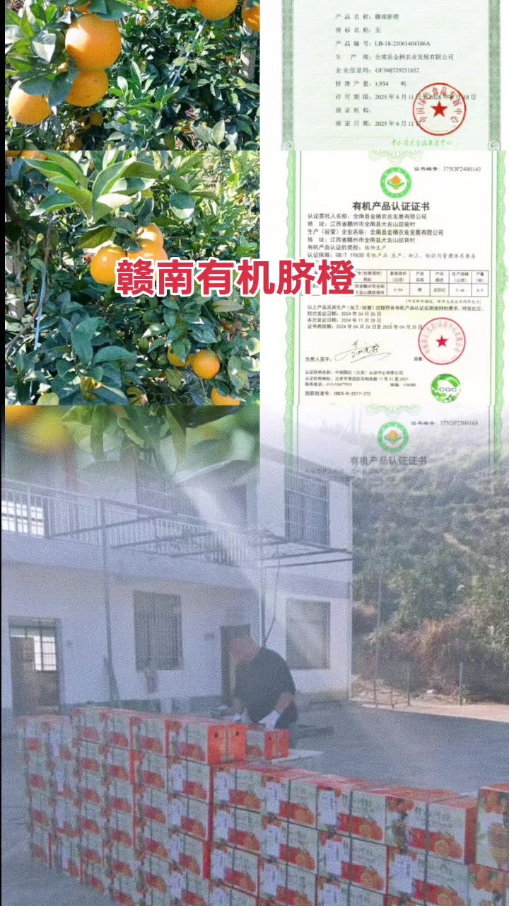 赣南脐橙有机认证绿色脐橙