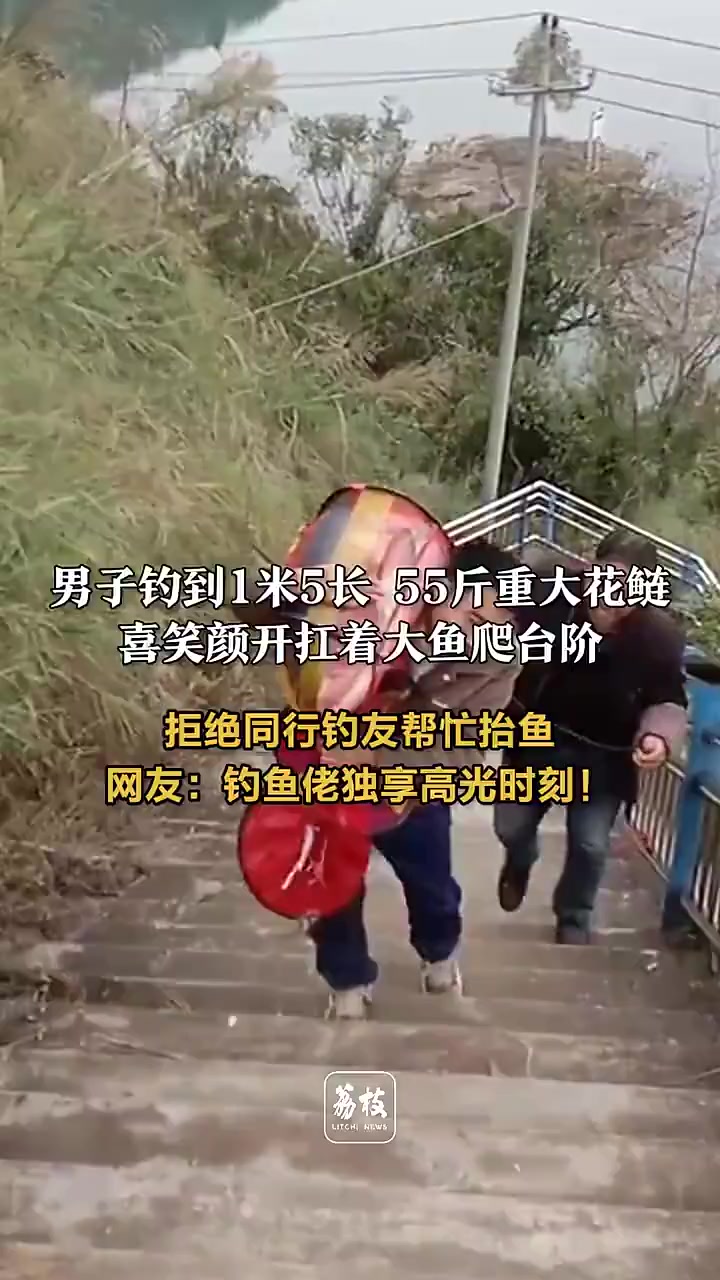 男子钓到1米5长 55斤重大花鲢,拒绝同行钓友帮忙抬鱼