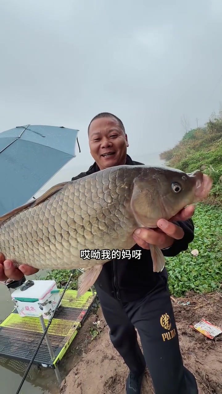 把你们钓到的鲫鱼大叔拉出来看看,比比谁的大 鲫鱼大叔