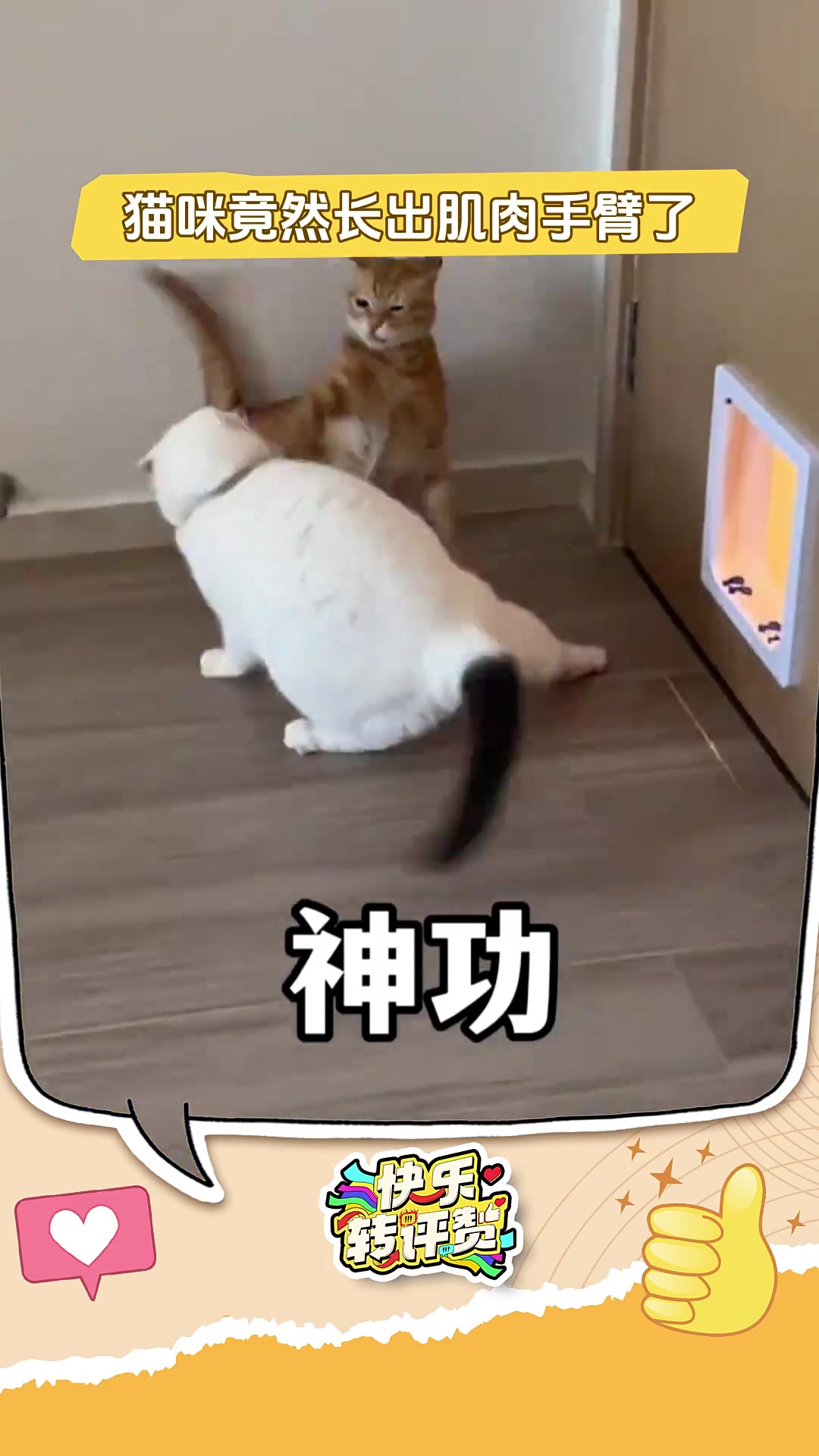 猫咪竟然长出肌肉手臂了？