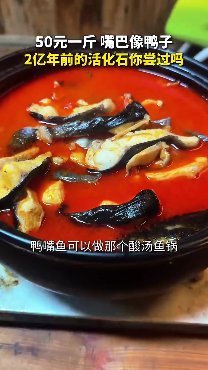50元一斤，嘴巴像鸭子的鱼居然是2亿年前的活化石，你尝过吗？