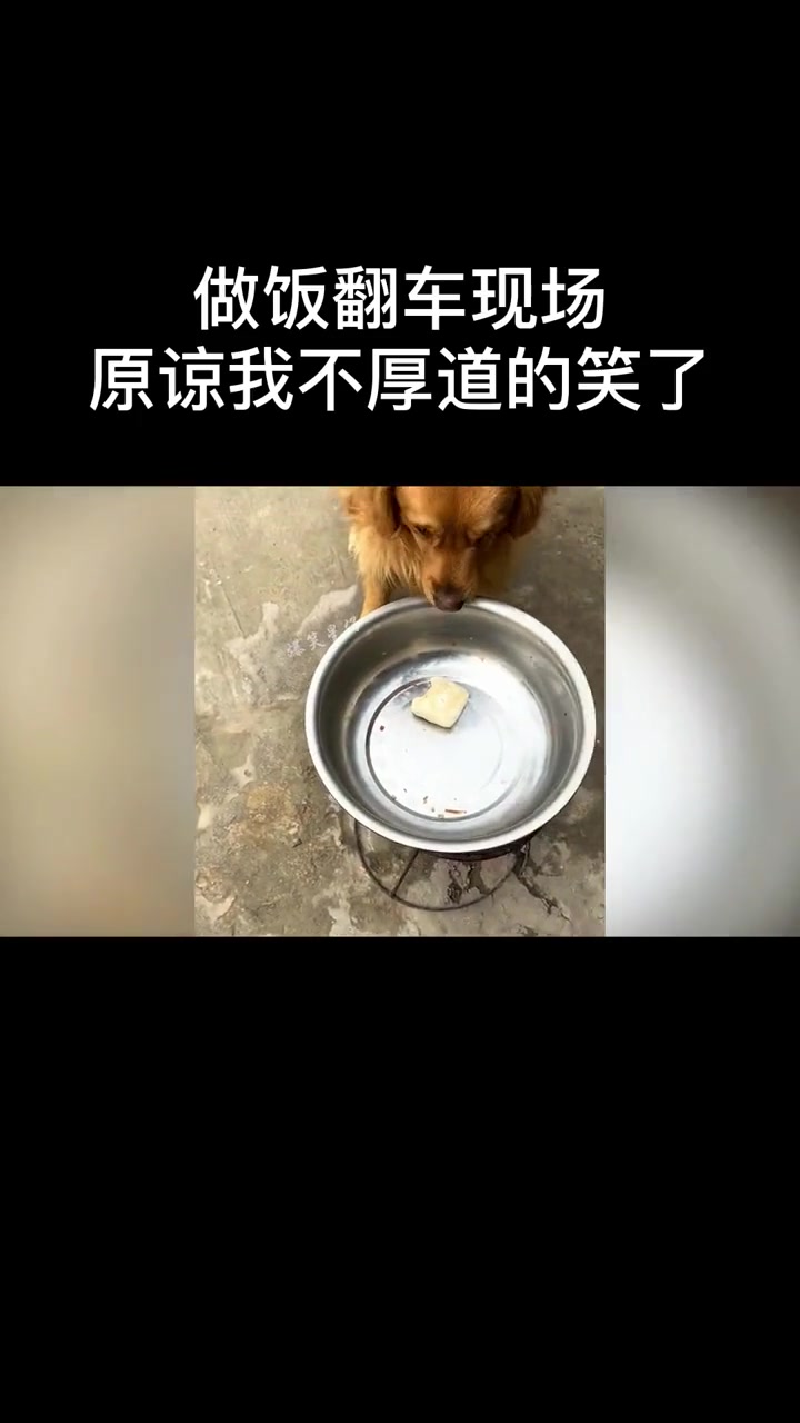 做饭翻车爆笑名场面：纯纯的黑暗料理，以后还是远离厨房吧！