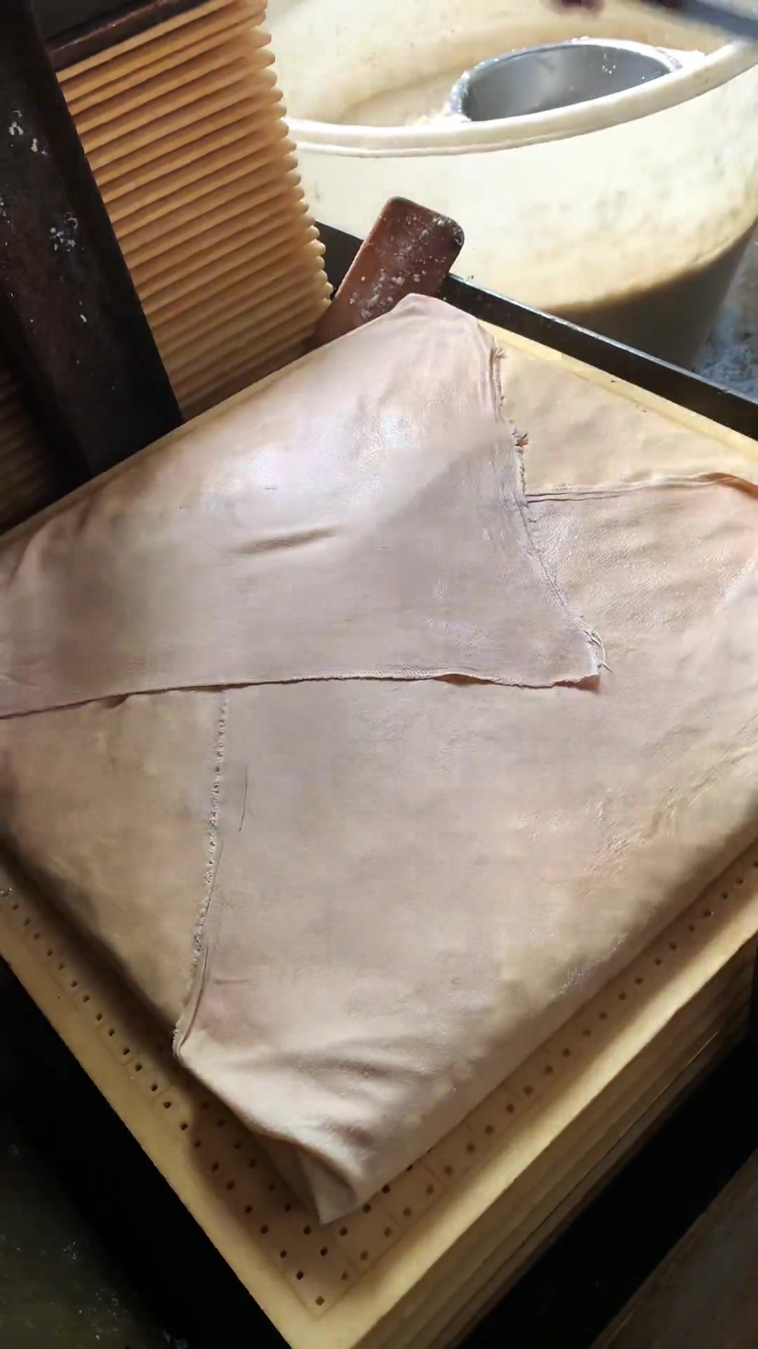 臭豆腐生胚的制作方法