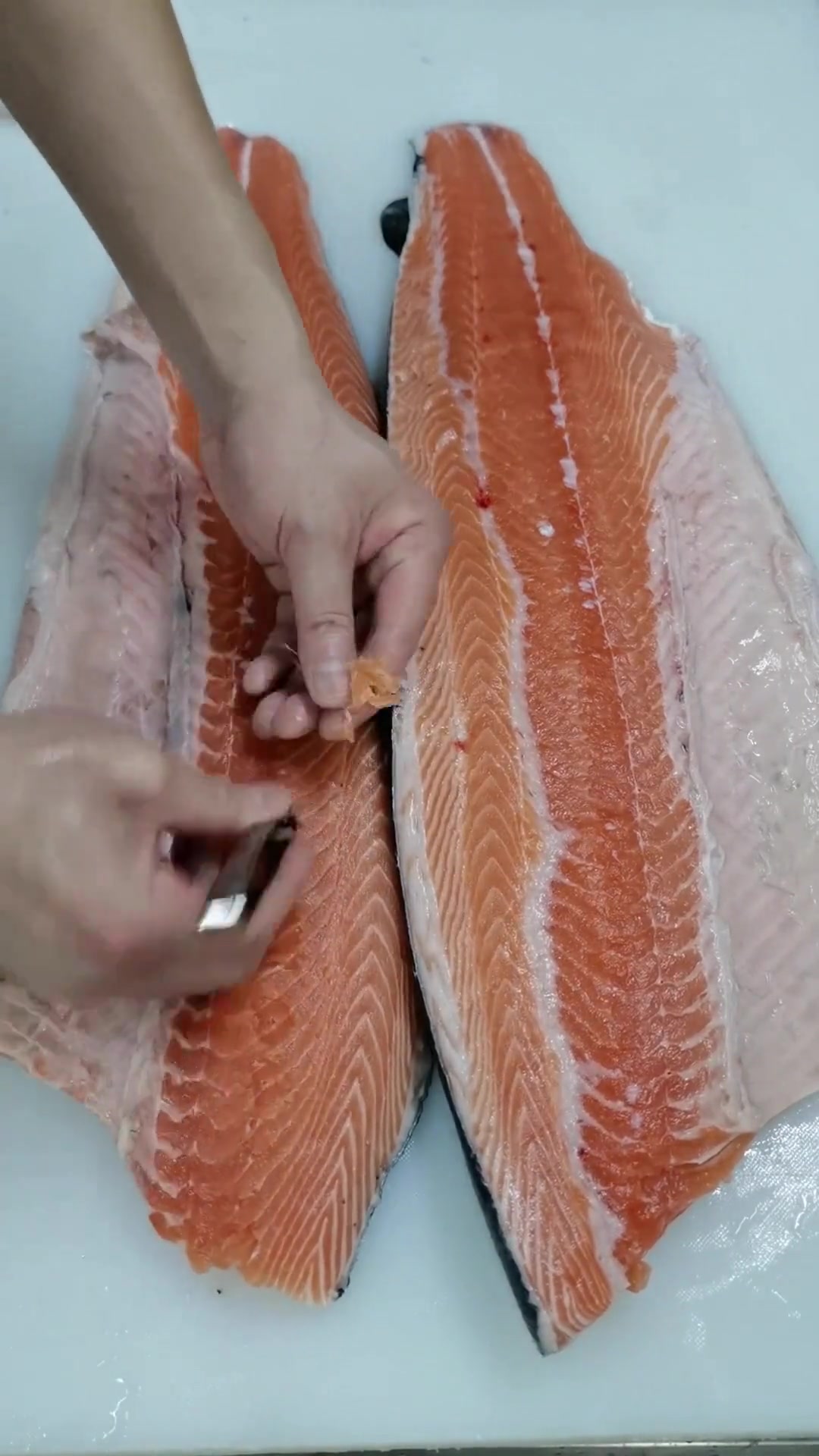 分享整条三文鱼从清洗.去鳞.分割.拔刺.分段.清洗.保存.去皮.切生鱼片.详细制作全过程
