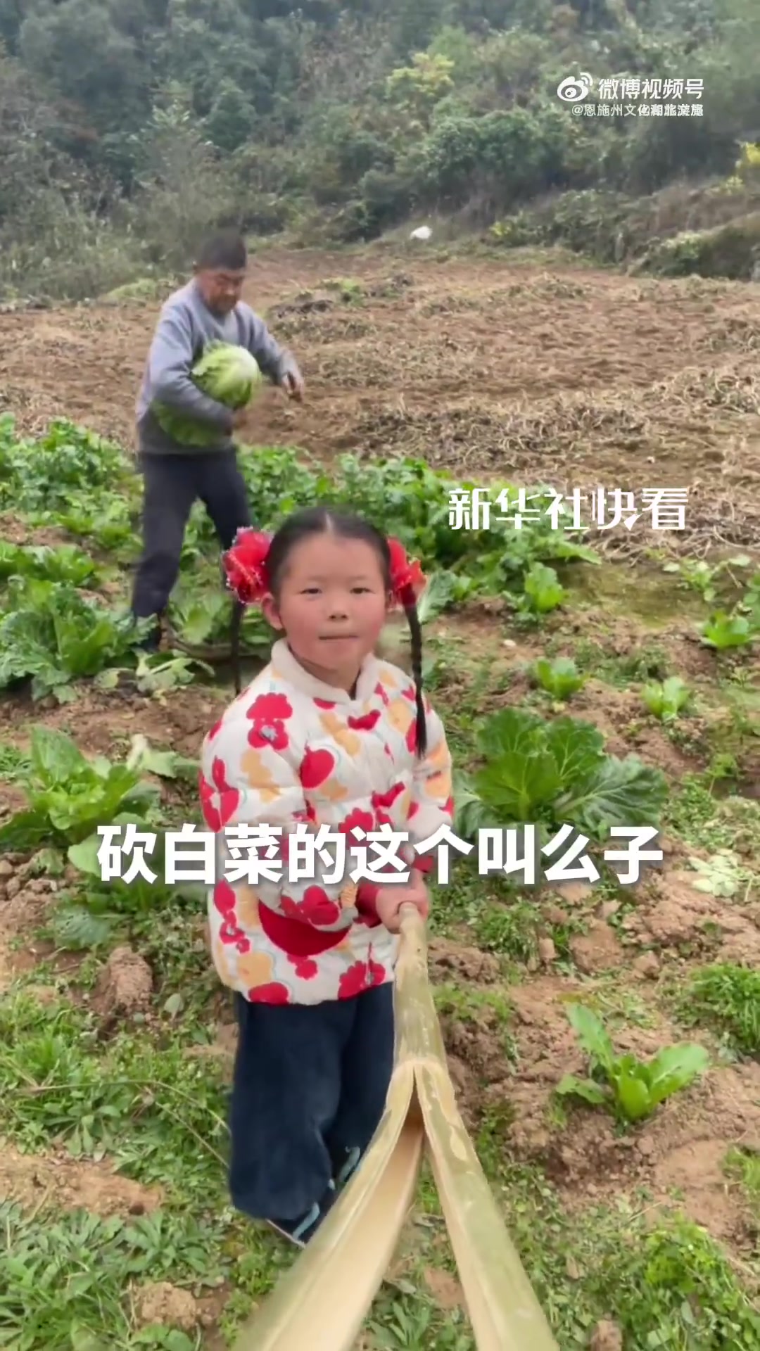 小女孩流利展示湖北恩施方言,“爸爸叫老汉儿 外婆叫嘎嘎”。听到这熟悉的乡音,你想家了吗?(