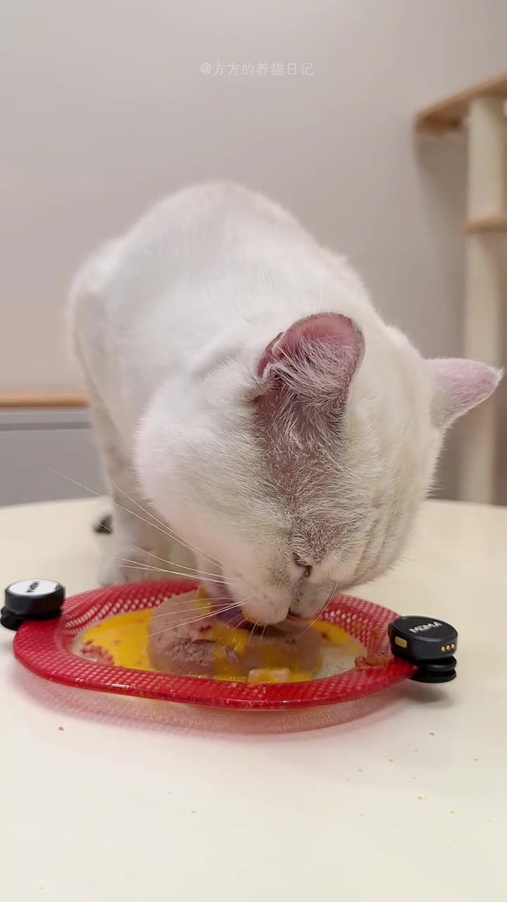 晚餐剪斤鸭心吃