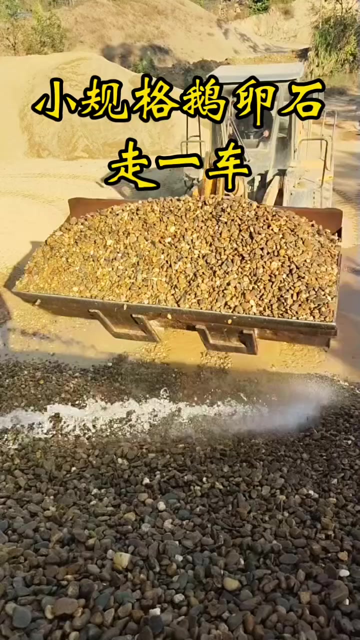 小规格鹅卵石 鹅卵石