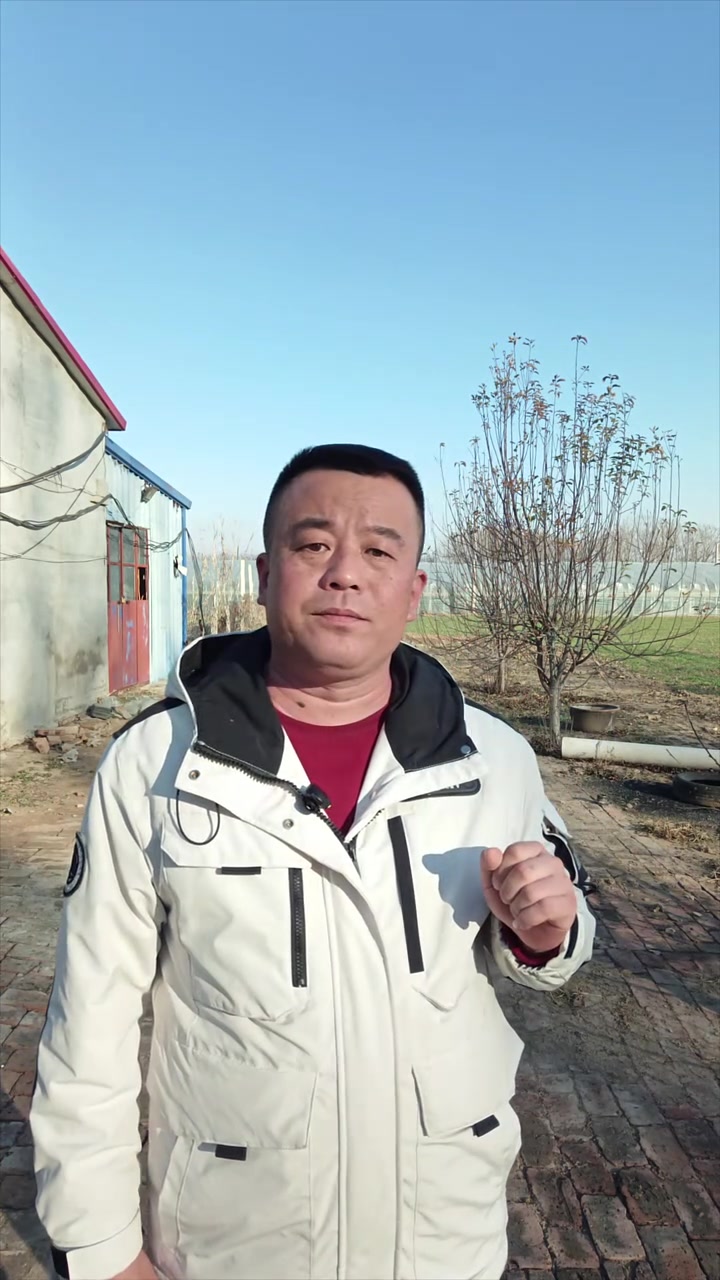 羊价与养殖技术，农村养羊人必知