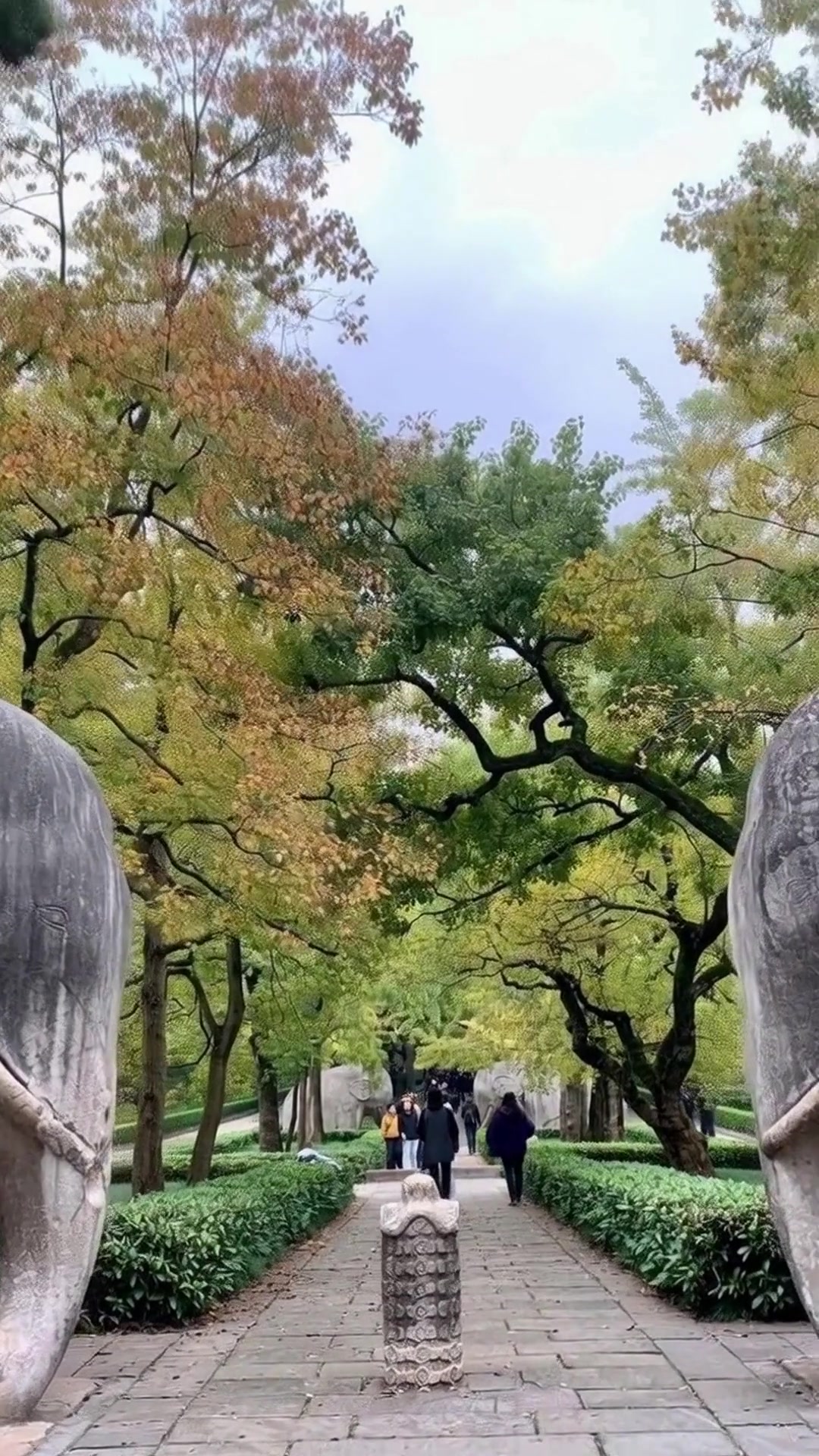 南京2日游必看！本地人私藏的10个景点+美食攻略