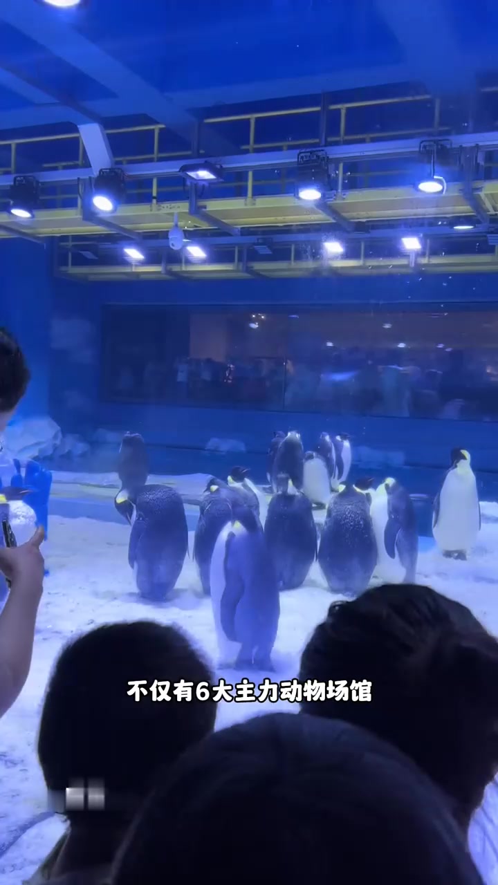 郑州海昌海洋公园到底有多好玩，一个视频看过来