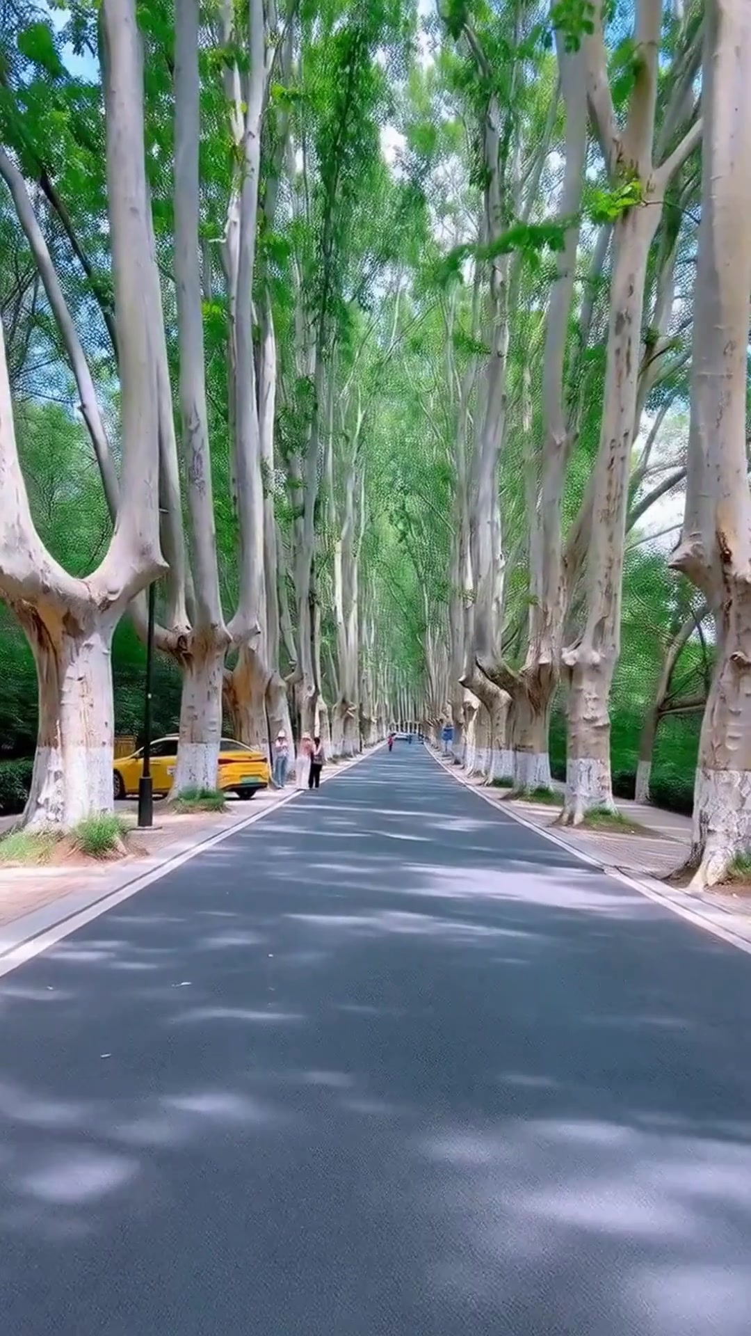 南京周末游必看！2天吃遍鸭血粉丝汤+玄武湖绝配攻略