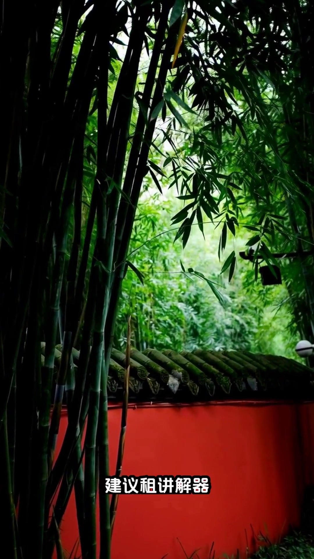 成都3日游必吃清单!熊猫串串锦里全打卡,吃货速存
