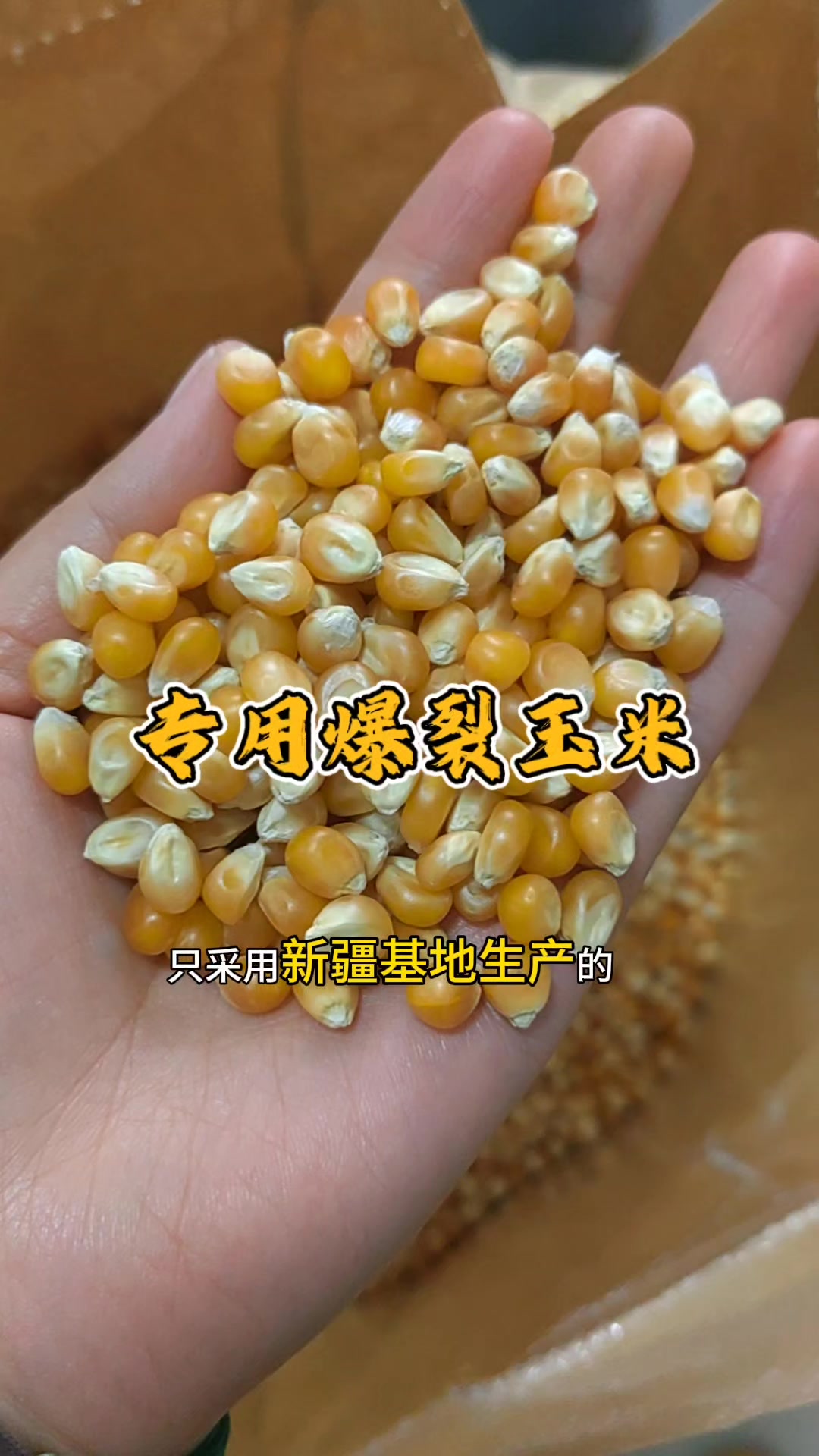 夕茗元专用爆裂玉米