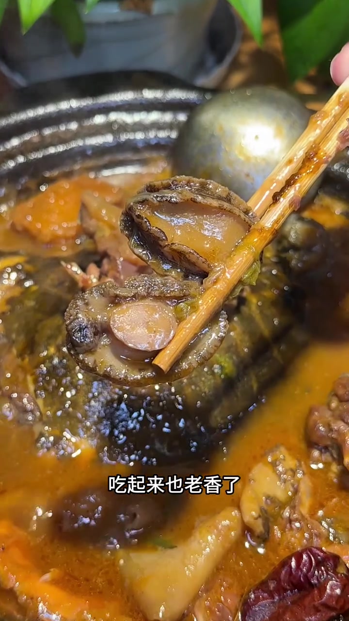 济南人都吃的甲鱼煲，哈尔滨也有了