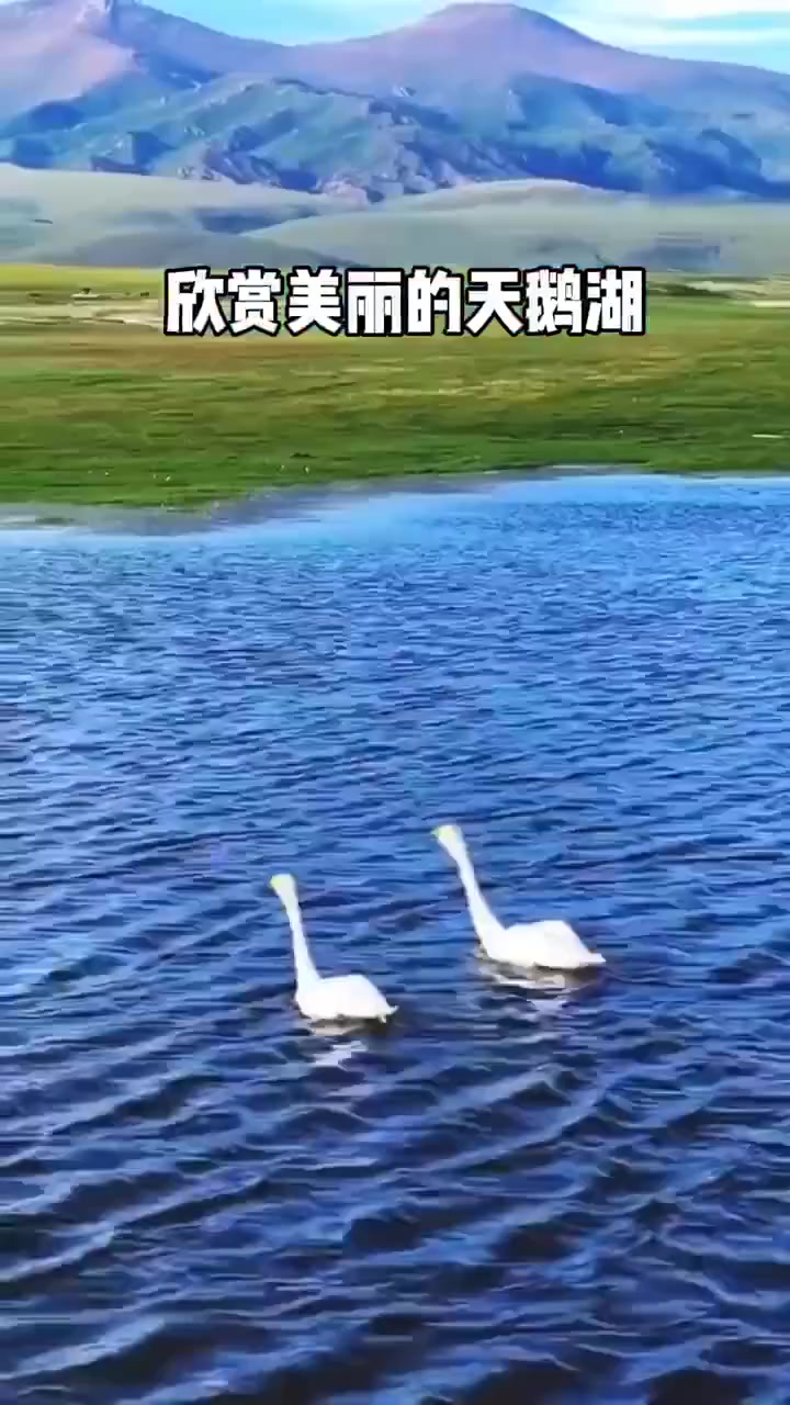 就伊犁最漂亮，鲜花遍野